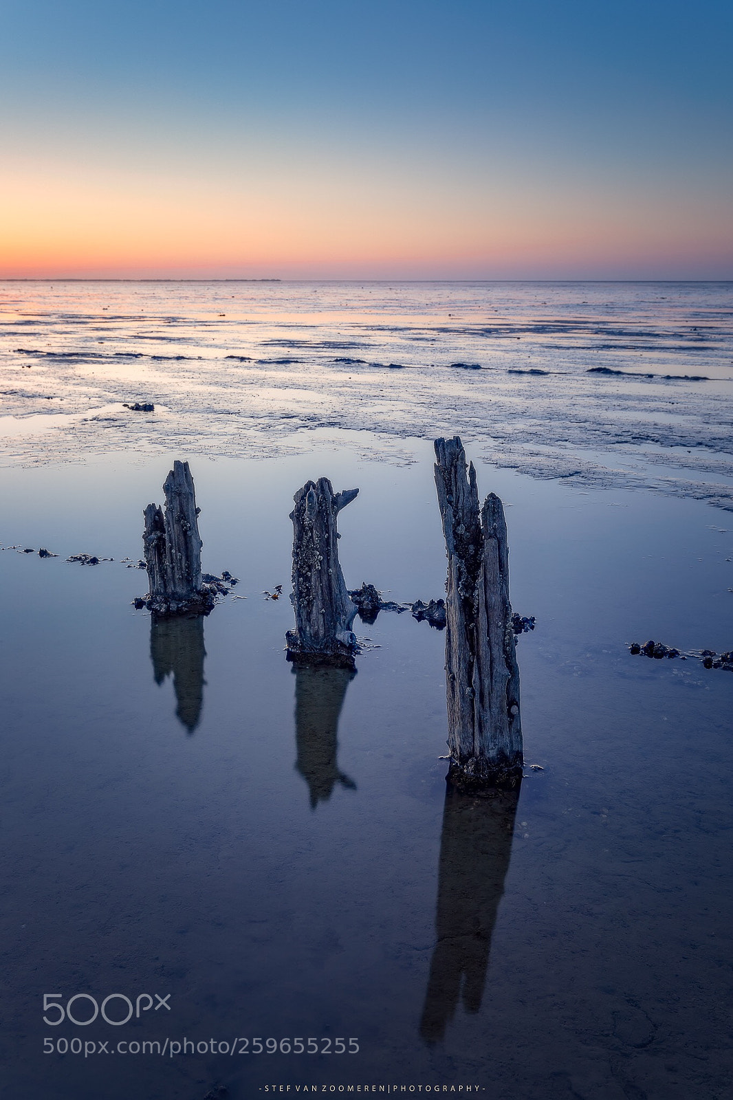 Canon EOS 5D Mark IV sample photo. Poles photography
