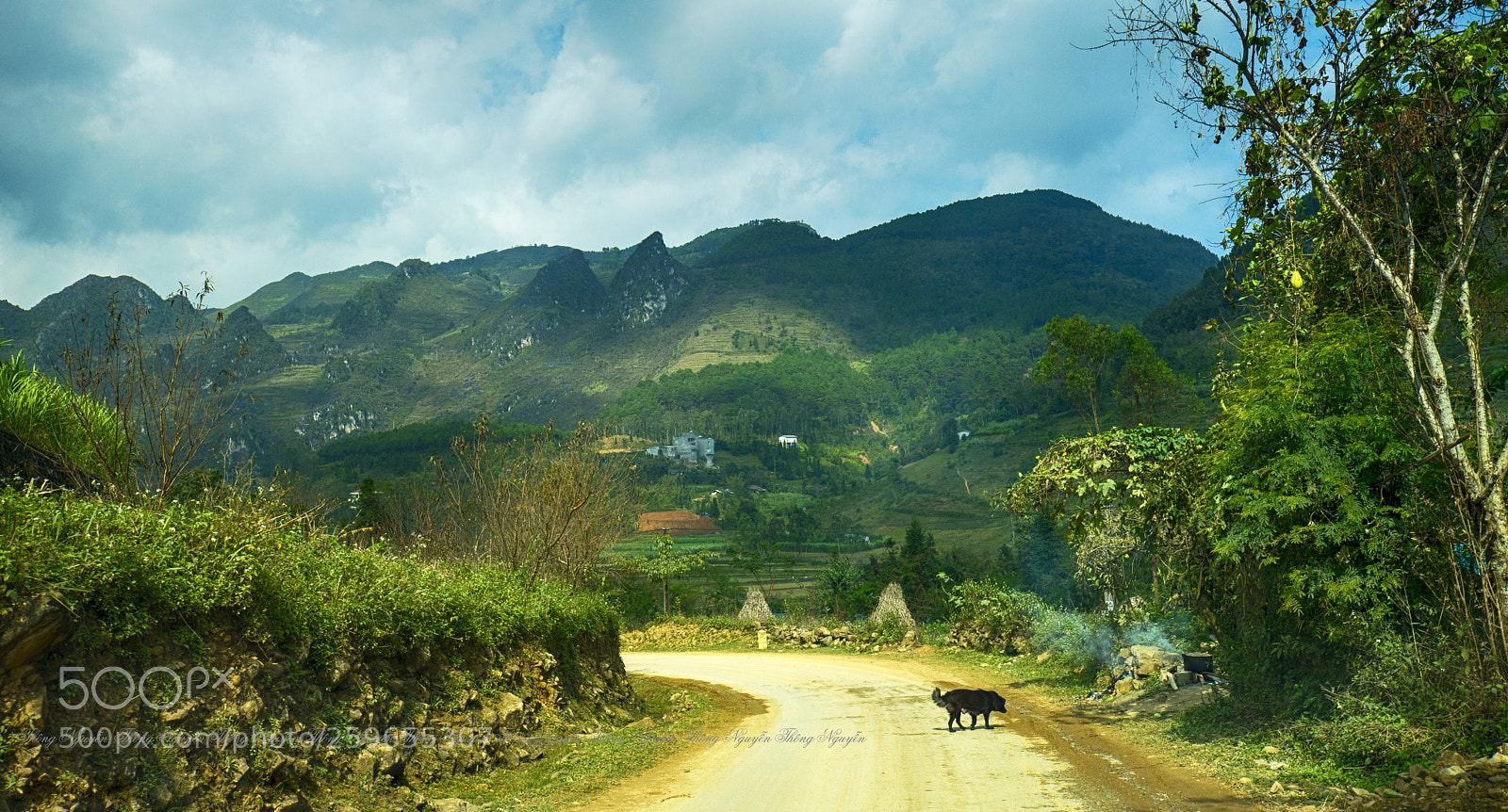 Sony a7 II sample photo. Ha giang photography