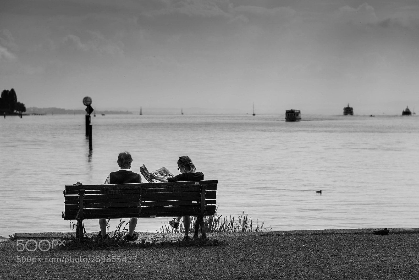 Nikon D610 sample photo. Reading the newspaper photography