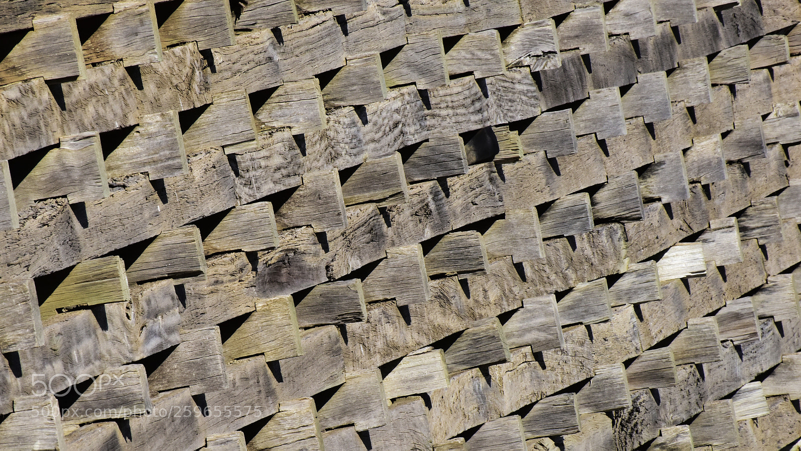 Nikon D810 sample photo. Retaining texture photography