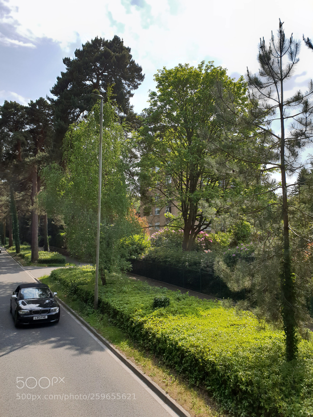 Samsung Galaxy S9+ sample photo. Untitled photography
