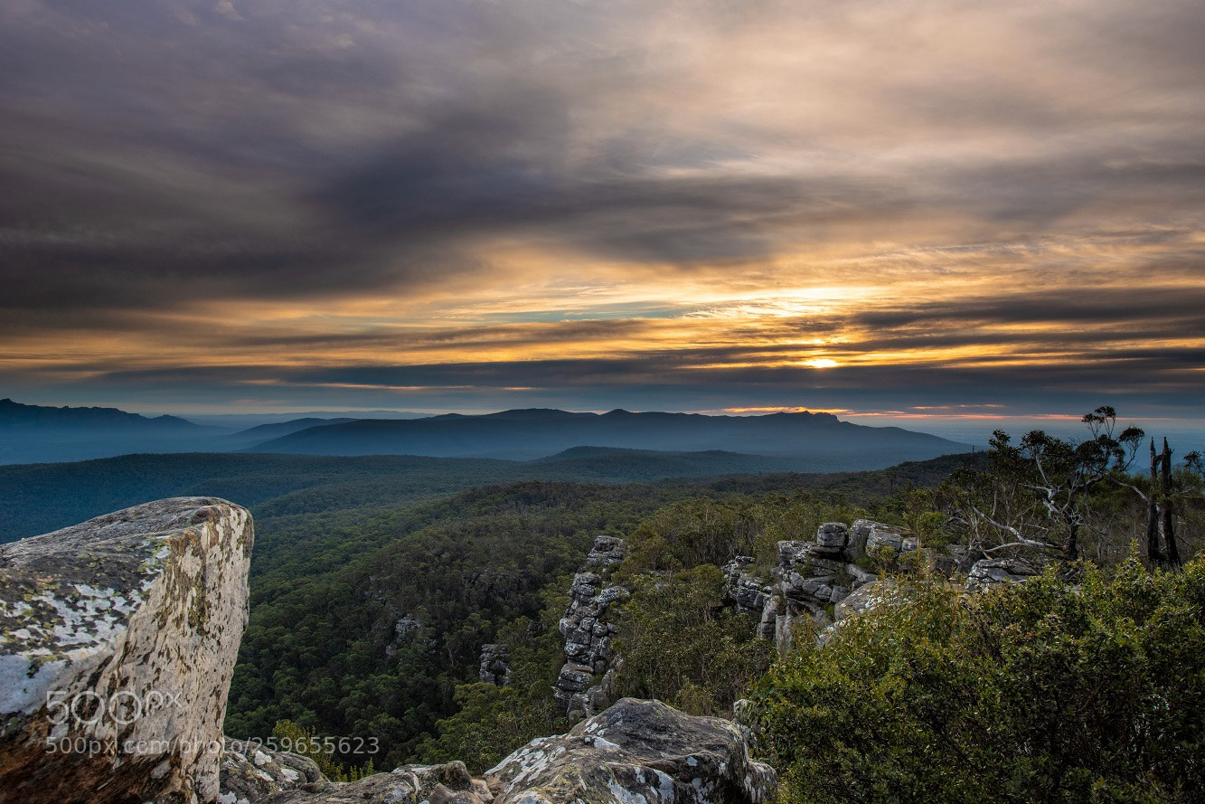 Nikon D810 sample photo. Reeds lookout halls gap photography