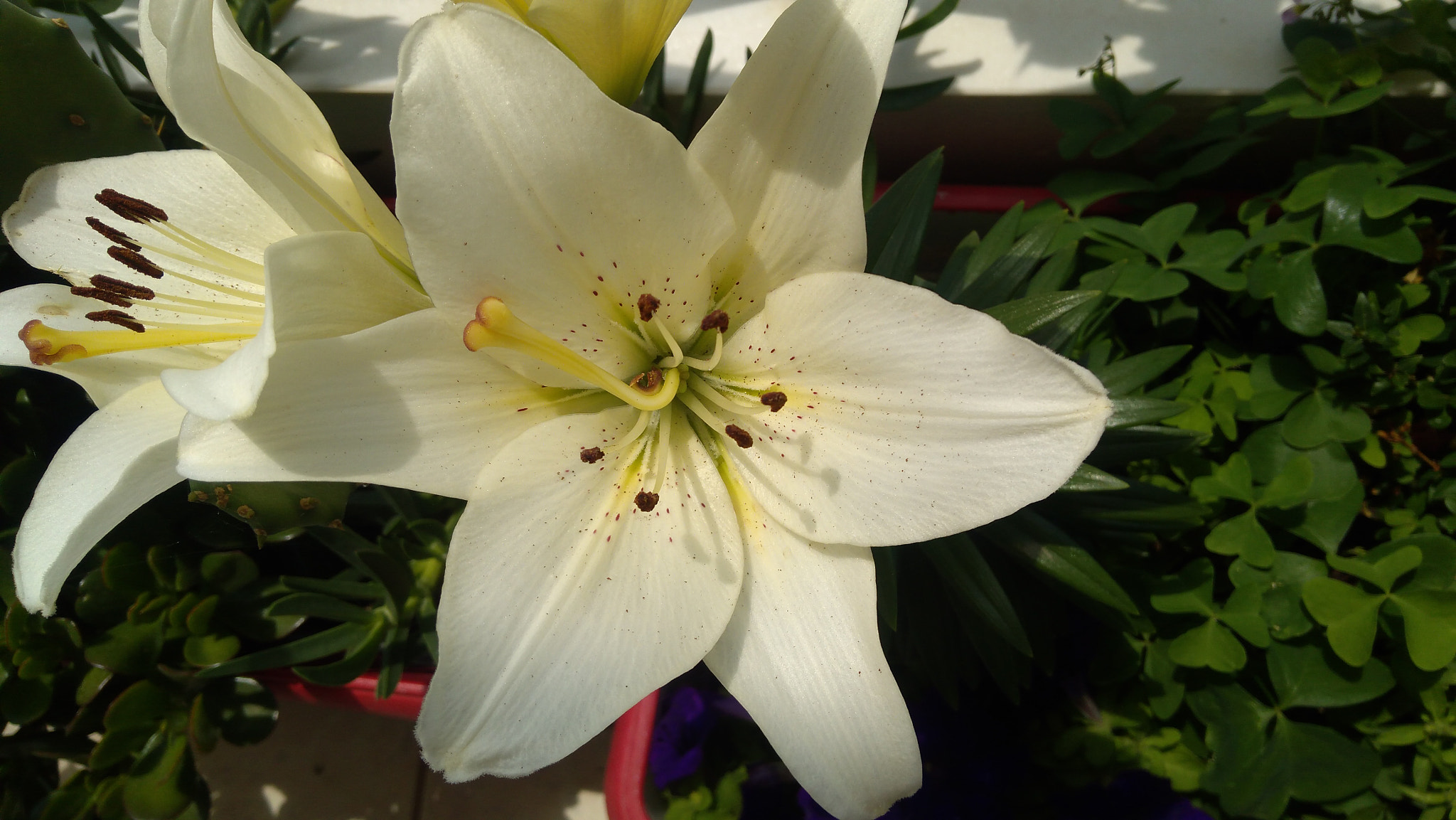 Lenovo K6 NOTE sample photo