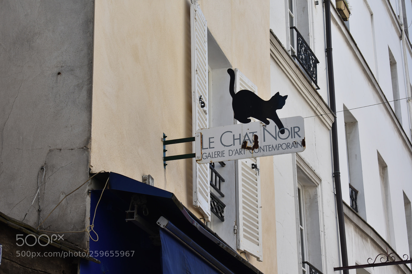 Nikon D3400 sample photo. Le chat photography