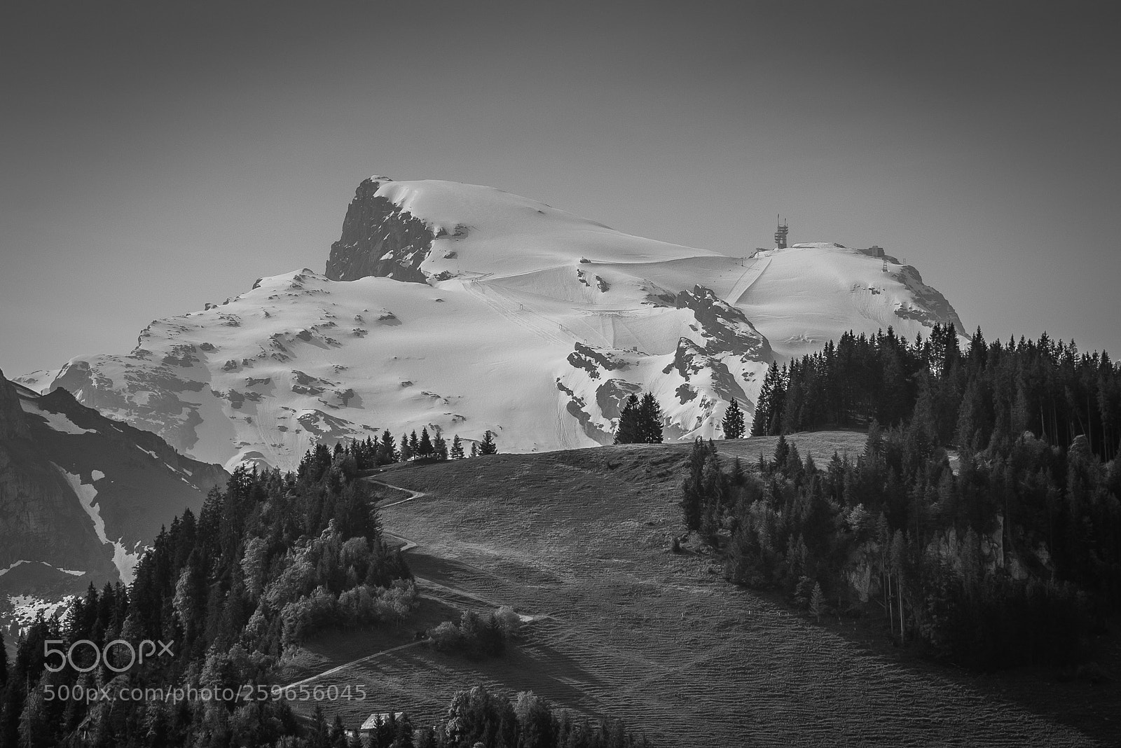 Nikon D750 sample photo. 10'000 ft photography