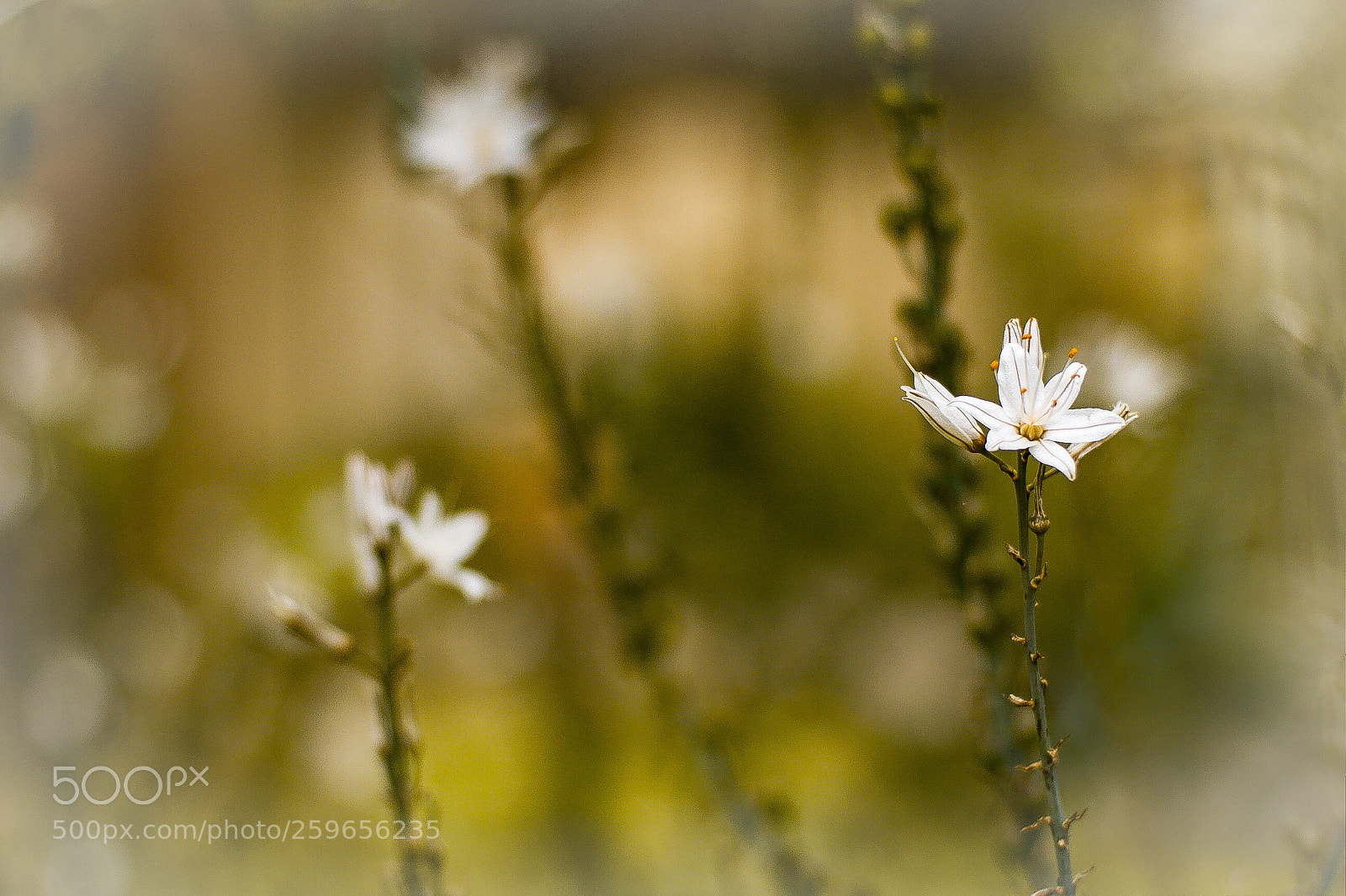 Canon EOS 7D sample photo. Untitled photography