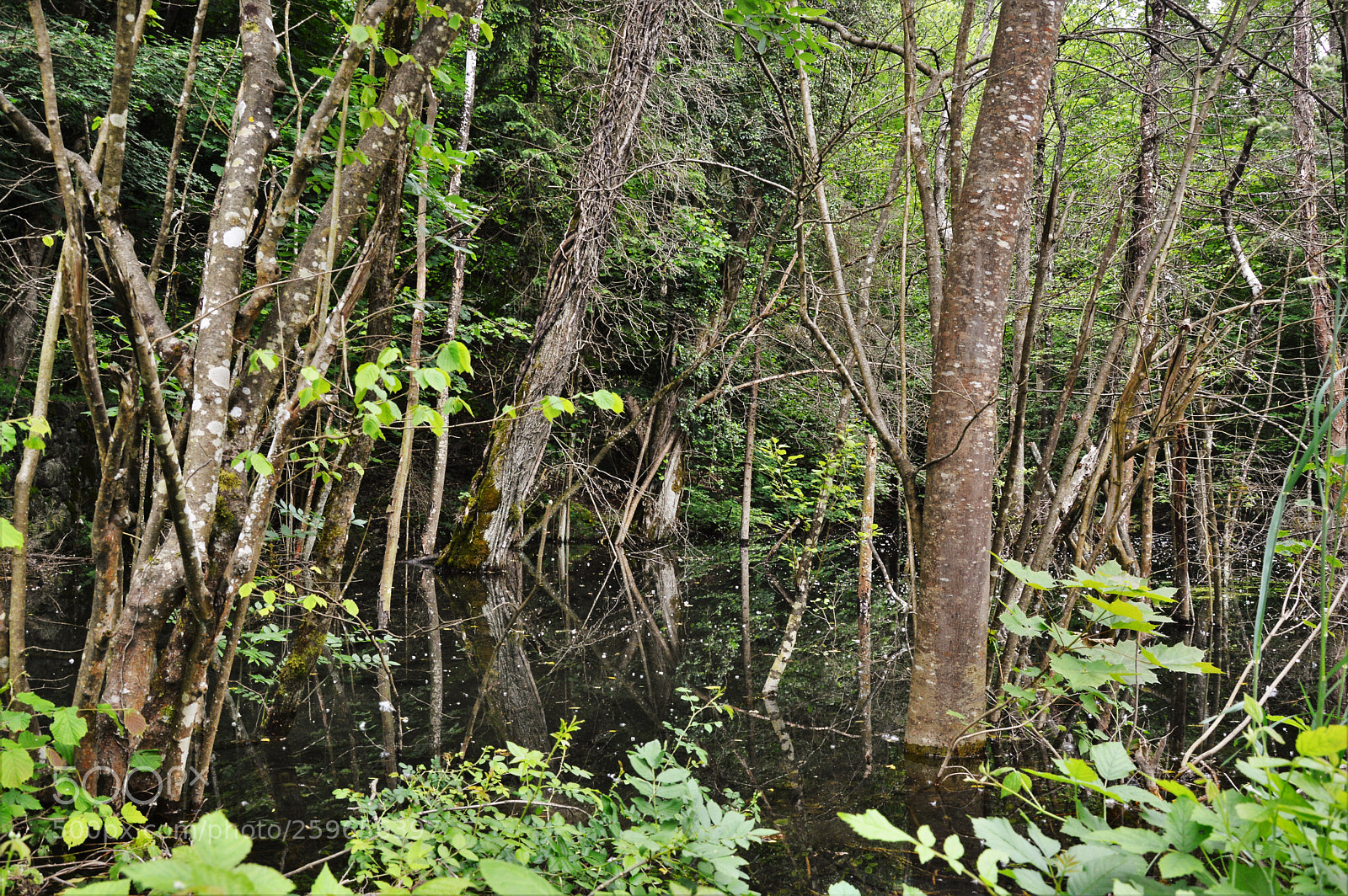 Nikon D3200 sample photo. Untitled photography