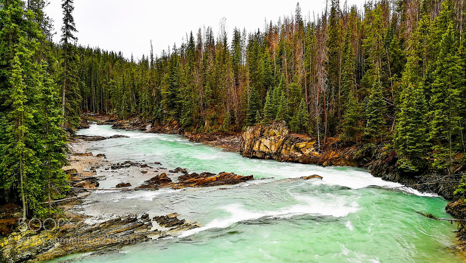 HUAWEI P10 sample photo. Kicking horse river yoho photography