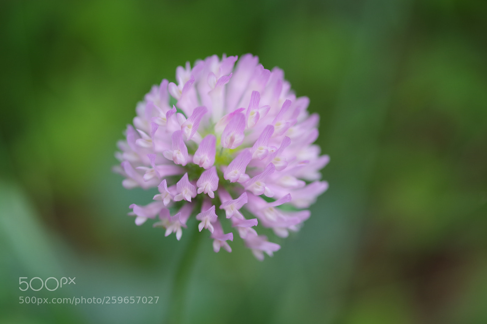 Pentax K-70 sample photo. Untitled photography