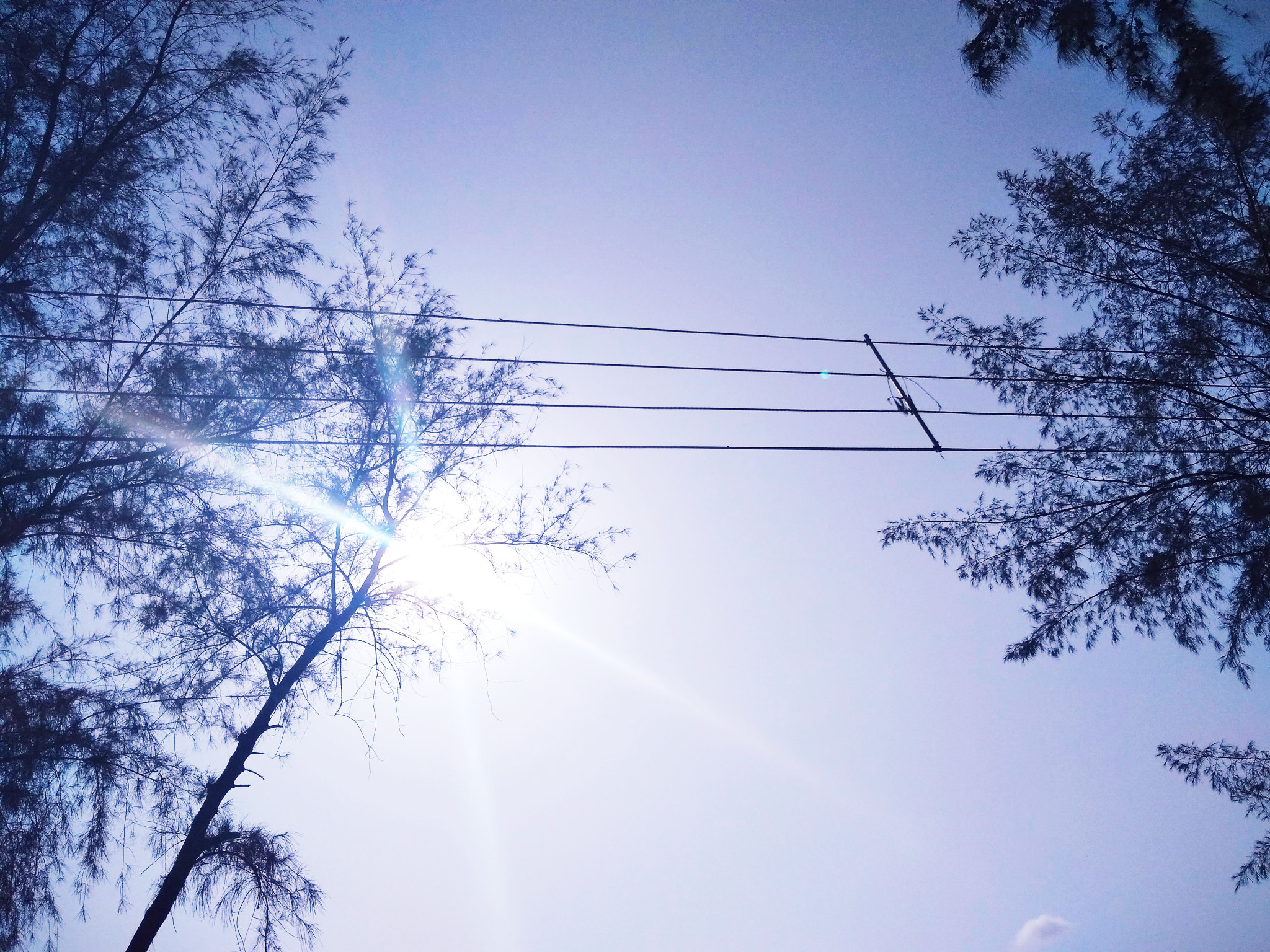 Xiaomi Redmi 4A sample photo