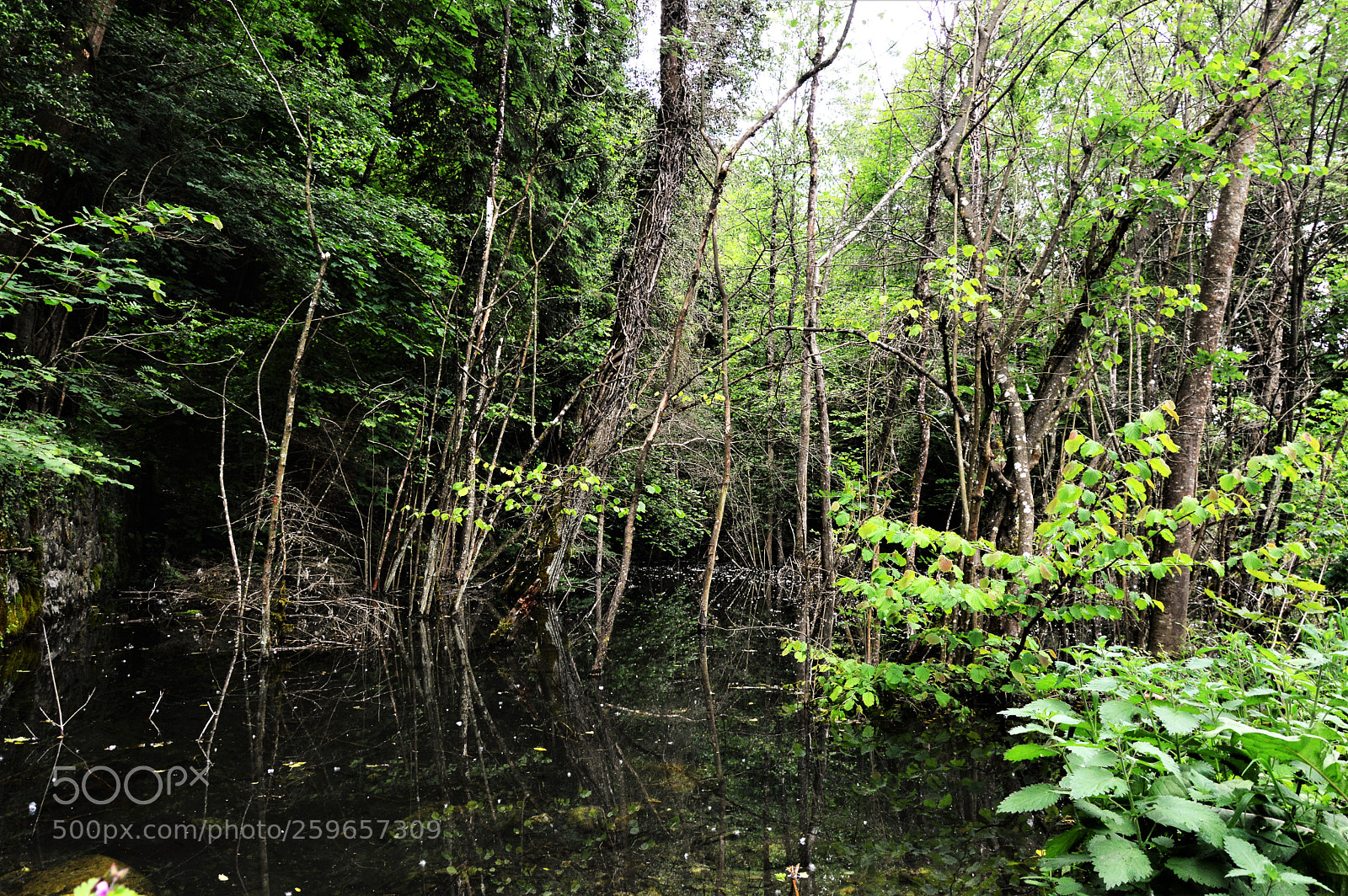 Nikon D3200 sample photo. Untitled photography