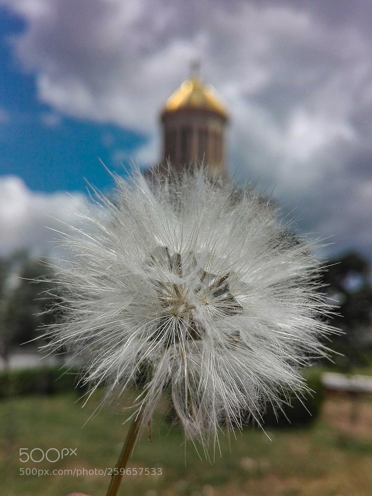 HUAWEI P8 Lite sample photo. Dandelion and church photography