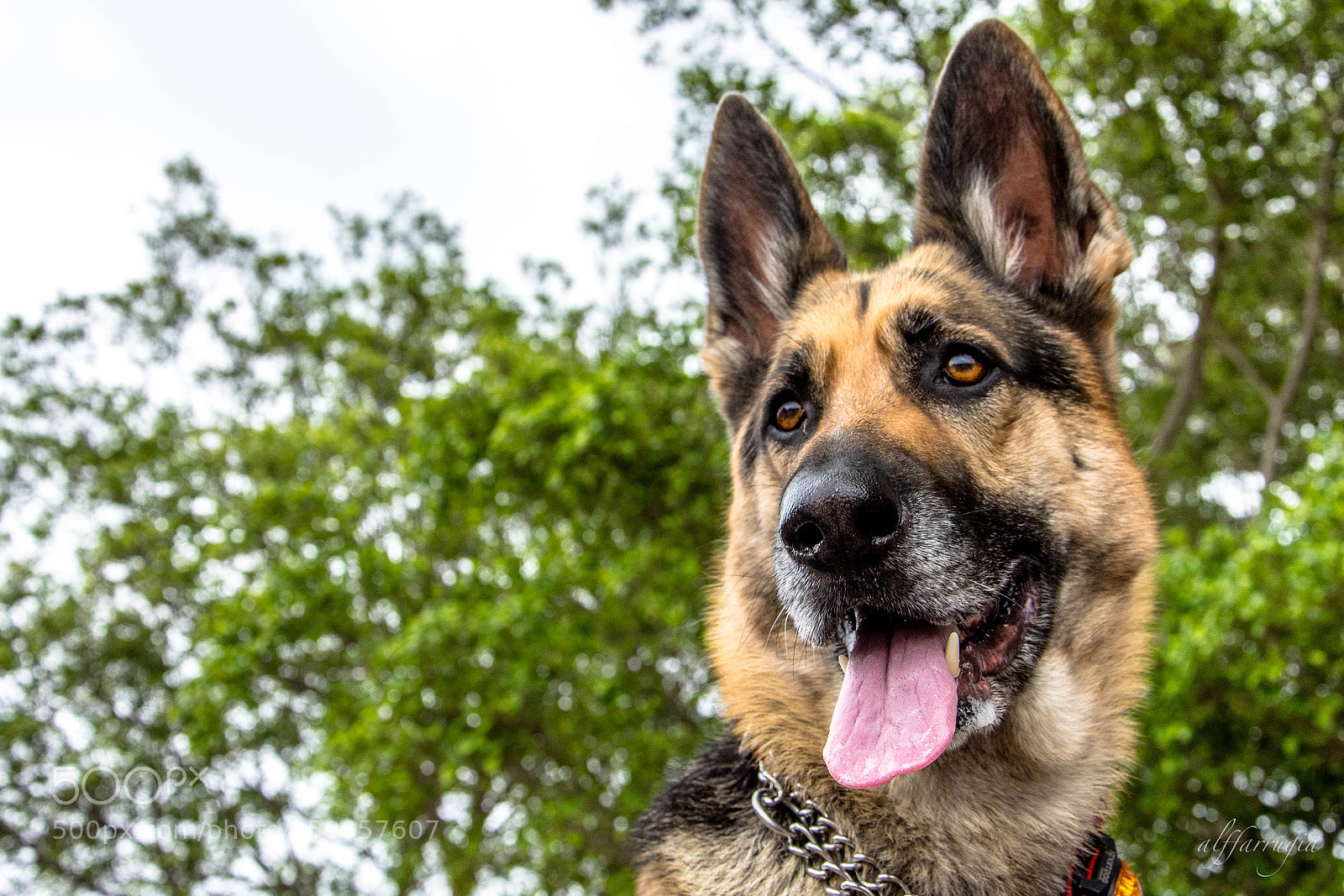 Nikon D7200 sample photo. Nina photography