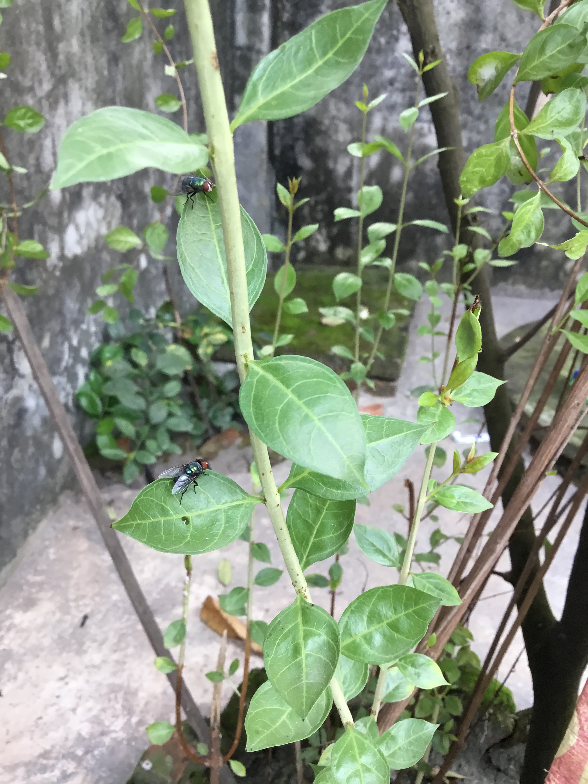 Apple iPad (5th generation) sample photo. Efddd cbdbfd photography