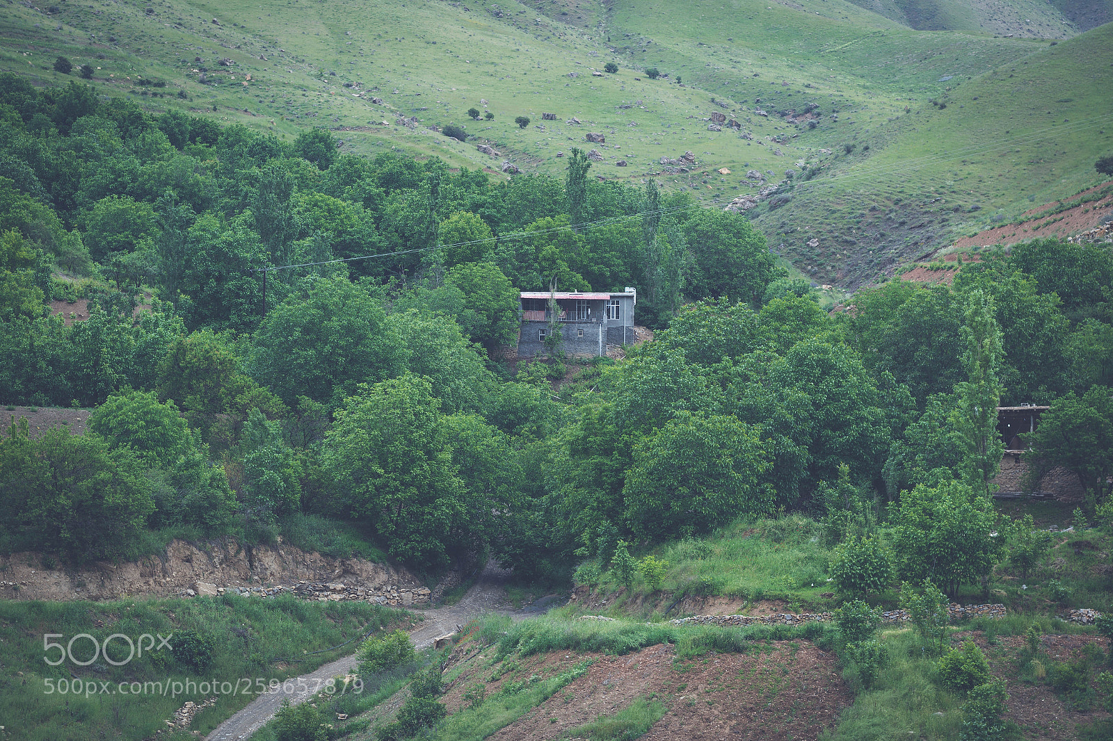 Canon EOS 7D Mark II sample photo. The hut photography