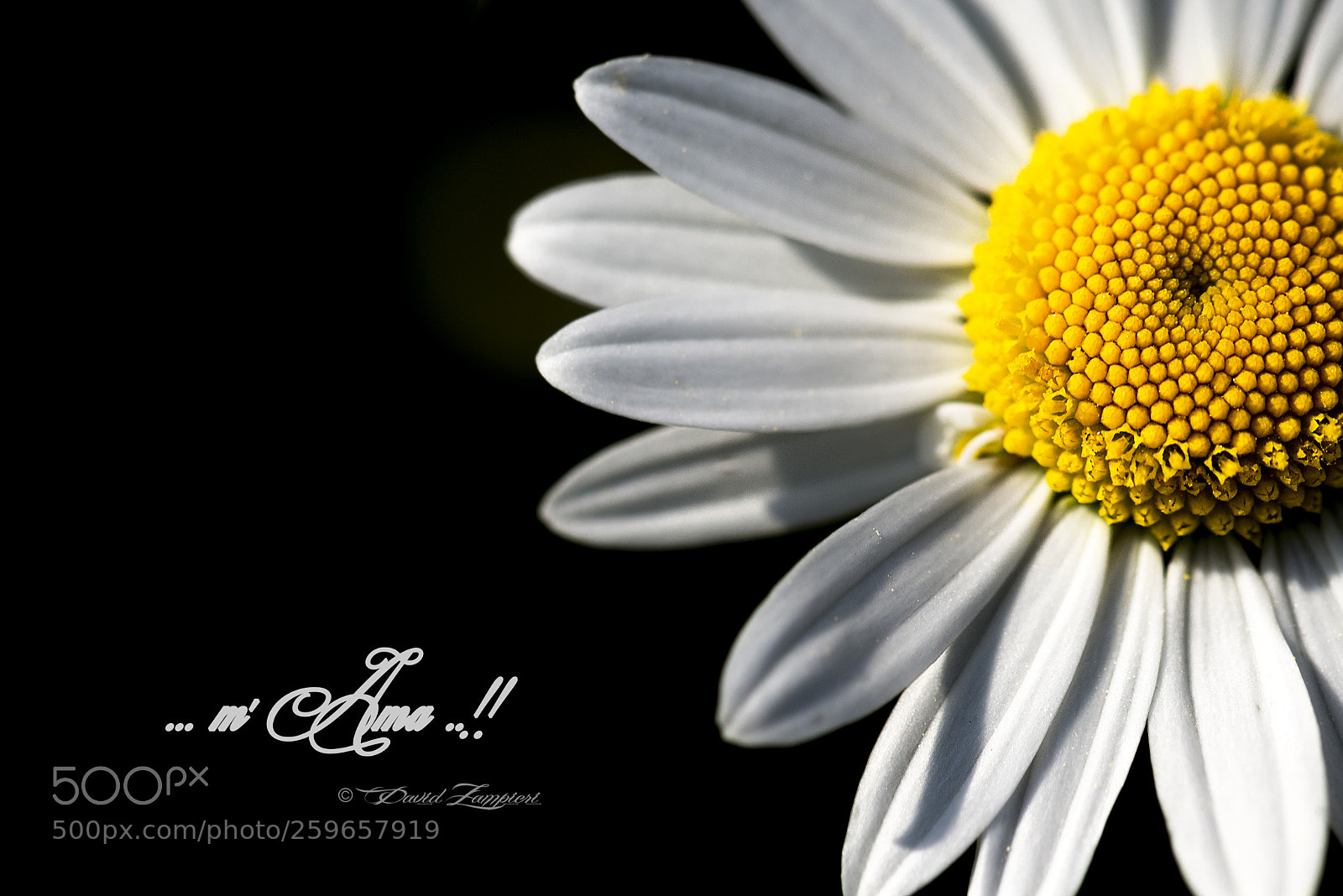 Nikon D610 sample photo. Margherita - m' ama photography