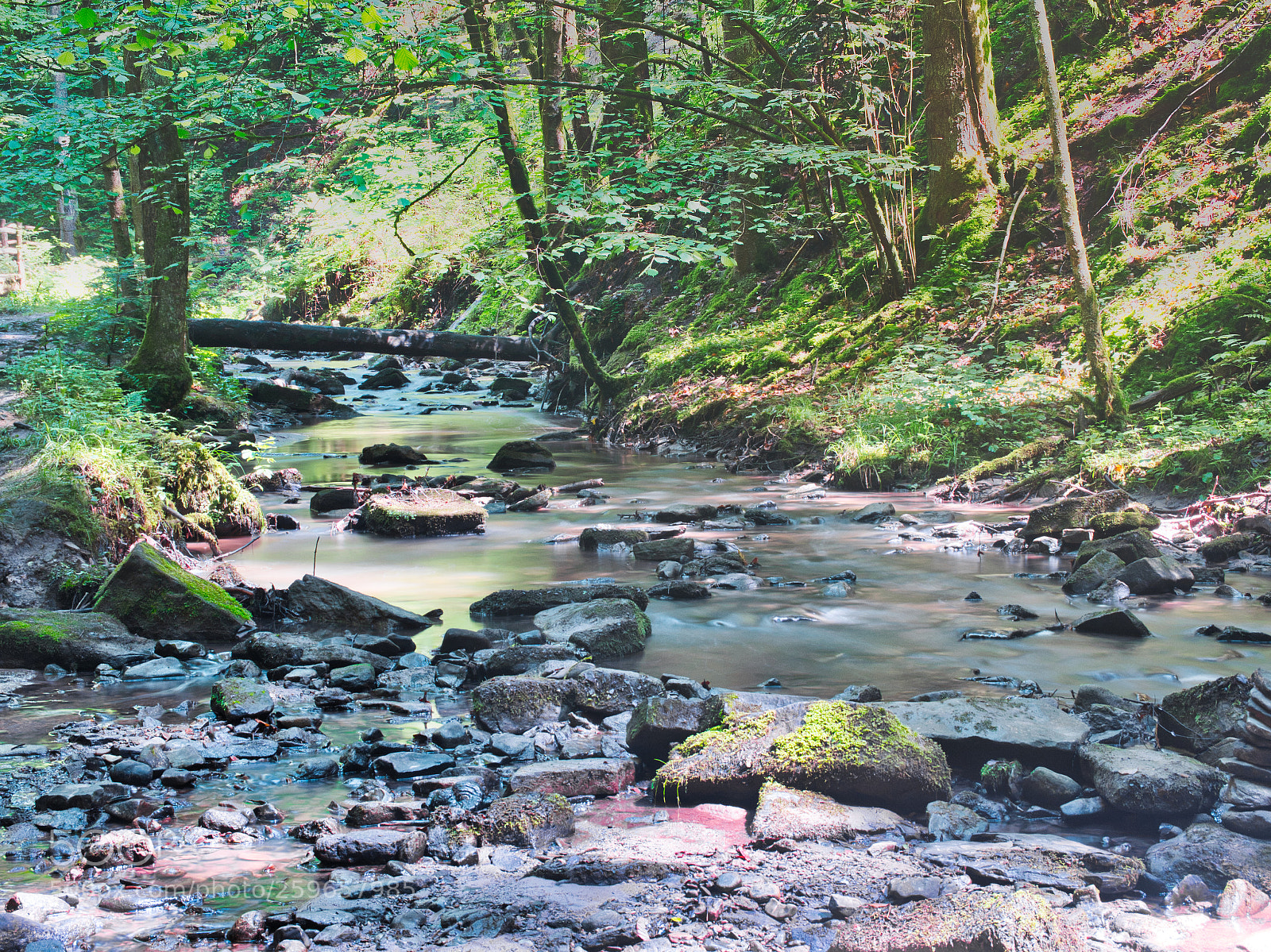 Panasonic Lumix DC-GH5 sample photo. Waterfall in forest photography