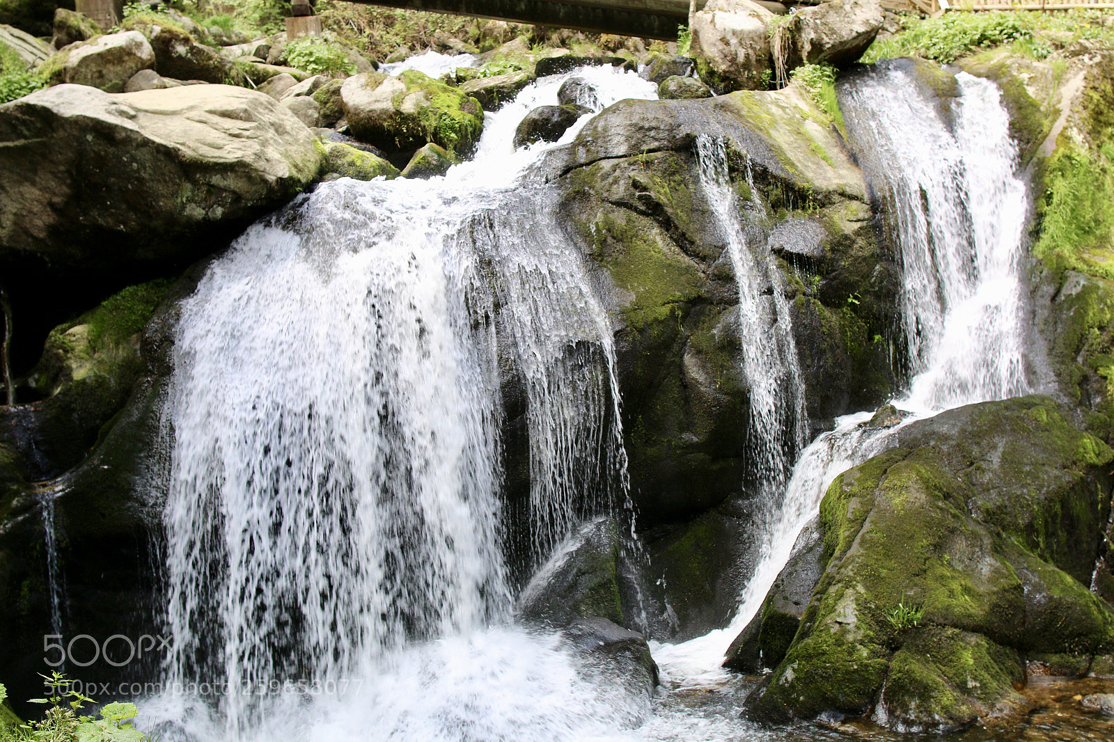 Canon EOS 70D sample photo. Untitled photography