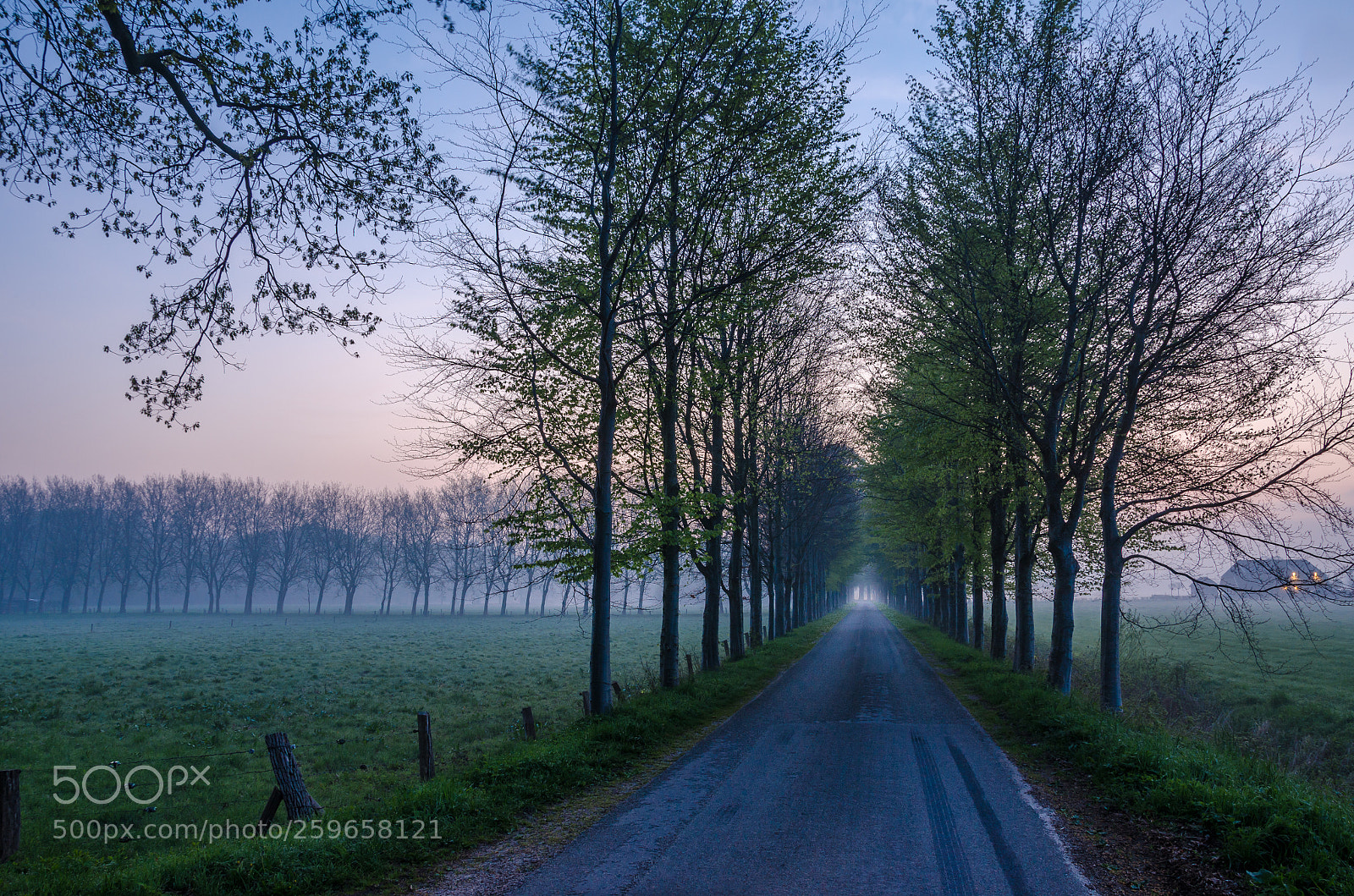 Nikon D7000 sample photo. Den alerdinck sunrise photography