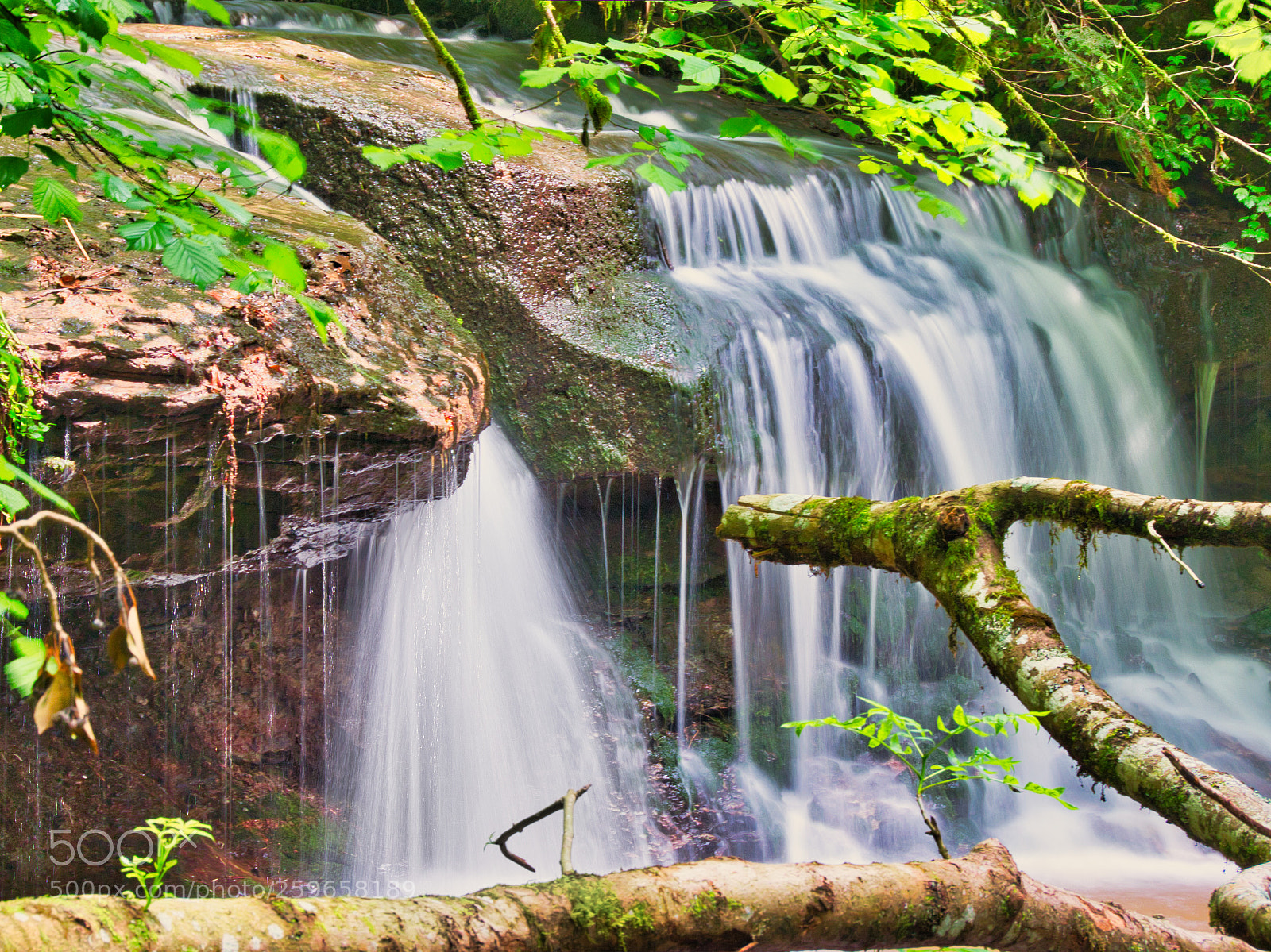 Panasonic Lumix DC-GH5 sample photo. Waterfall in forest photography