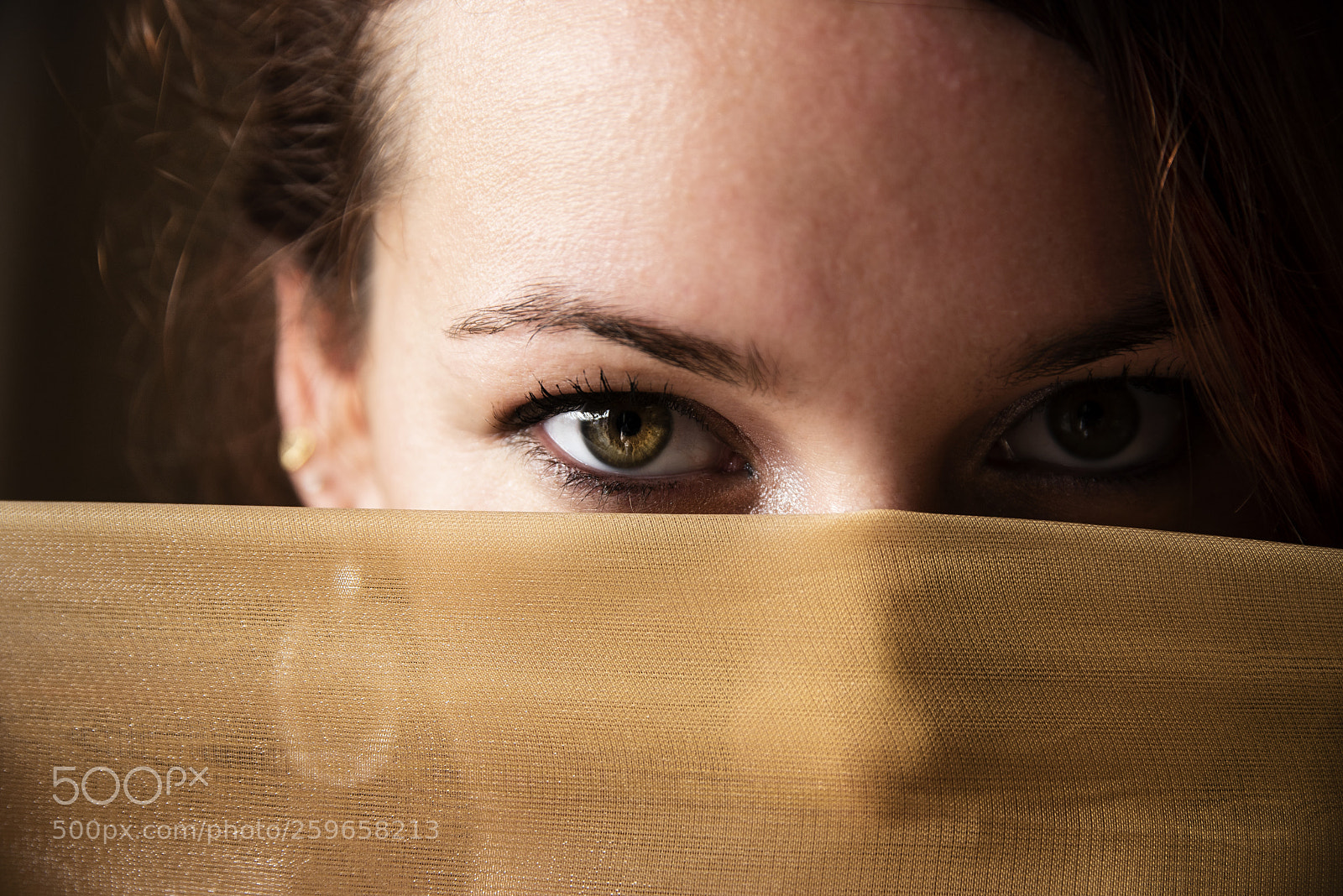 Nikon D750 sample photo. Eye of the tiger photography