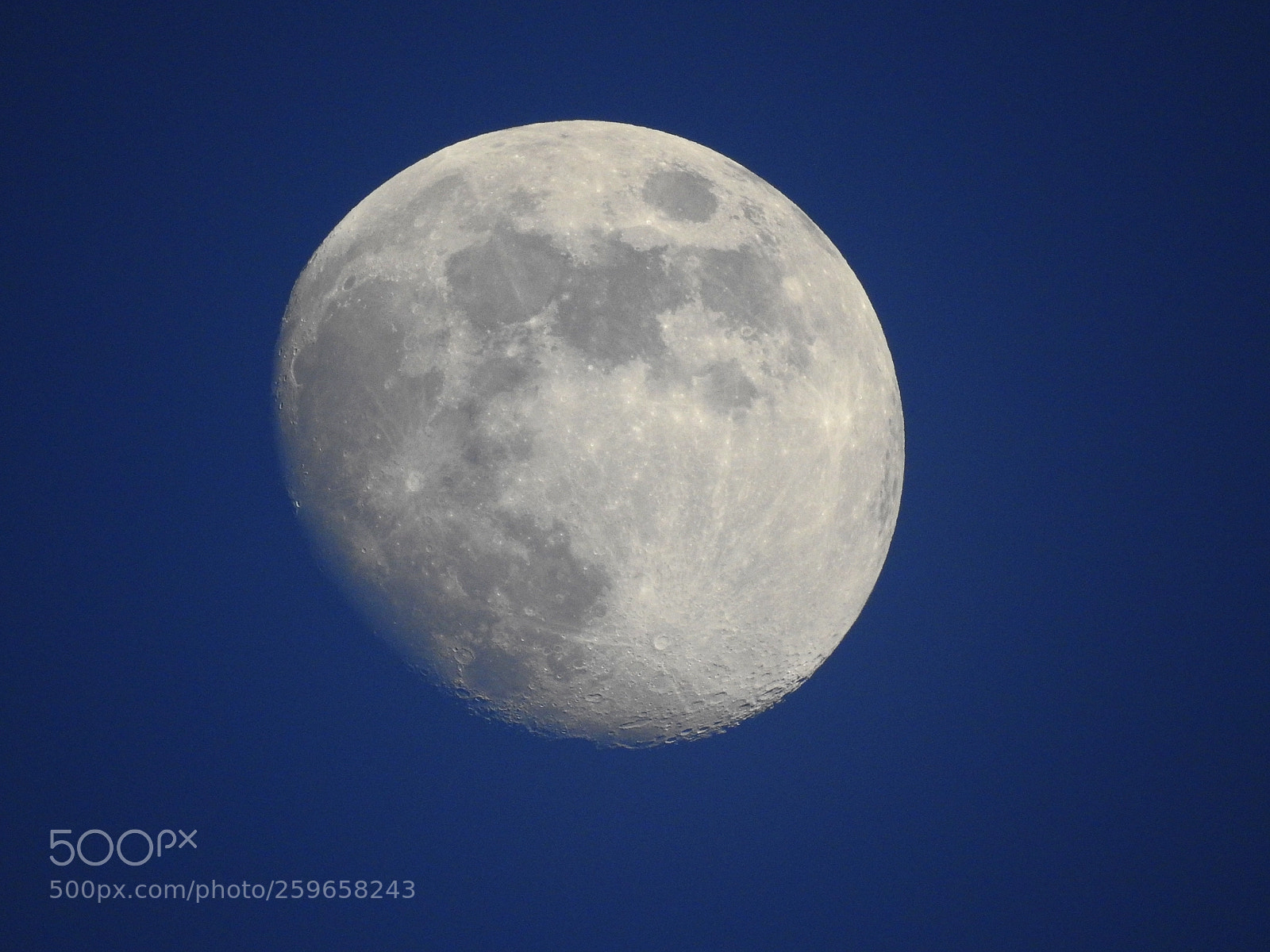 Nikon Coolpix P900 sample photo. Full moon photography