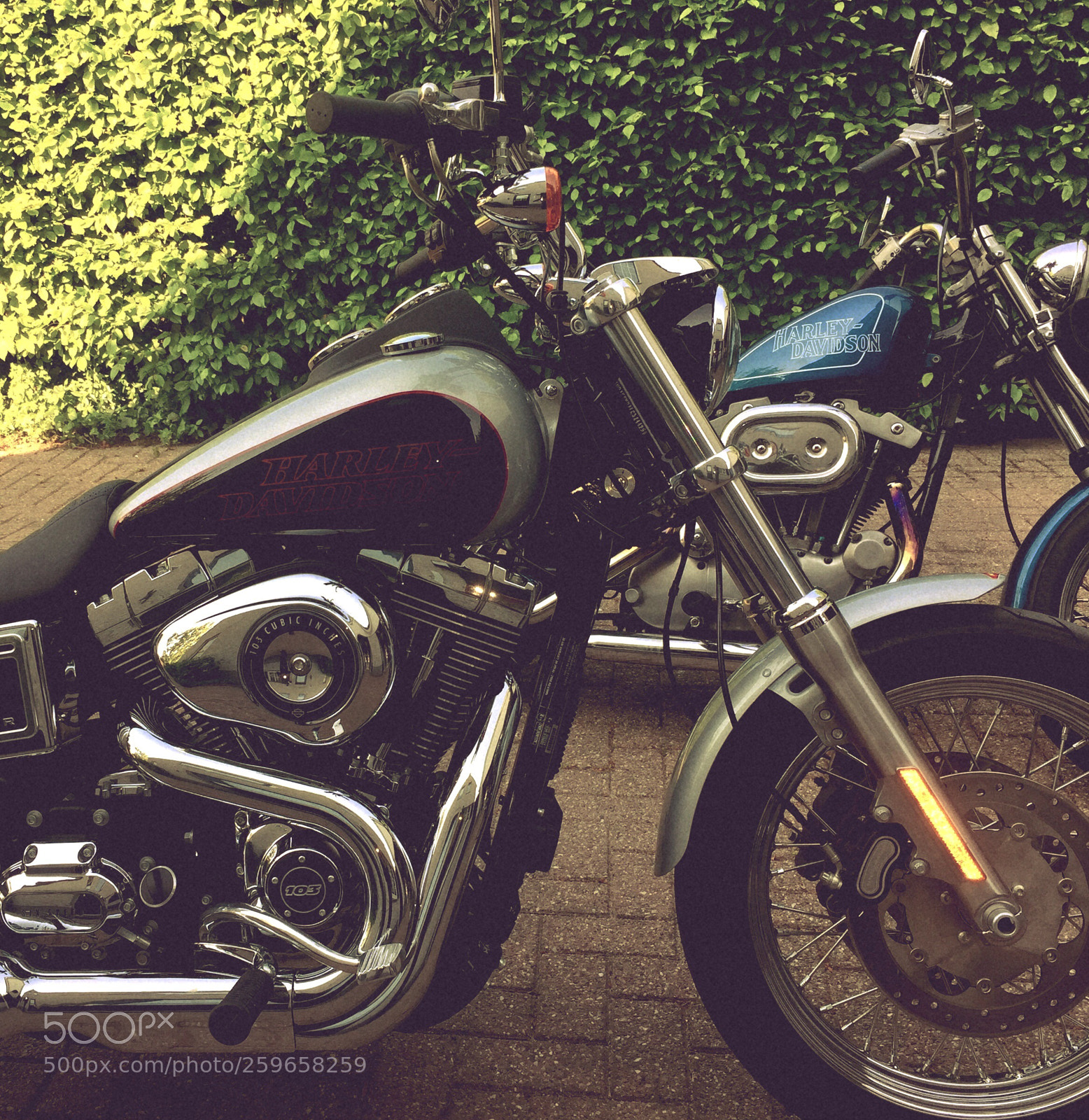Apple iPhone 6 sample photo. Low rider and ironhead photography