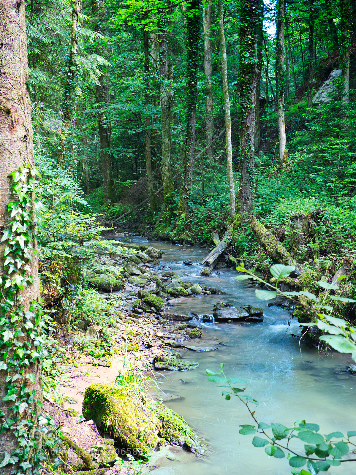 Panasonic Lumix DC-GH5 sample photo. Waterfall in forest photography