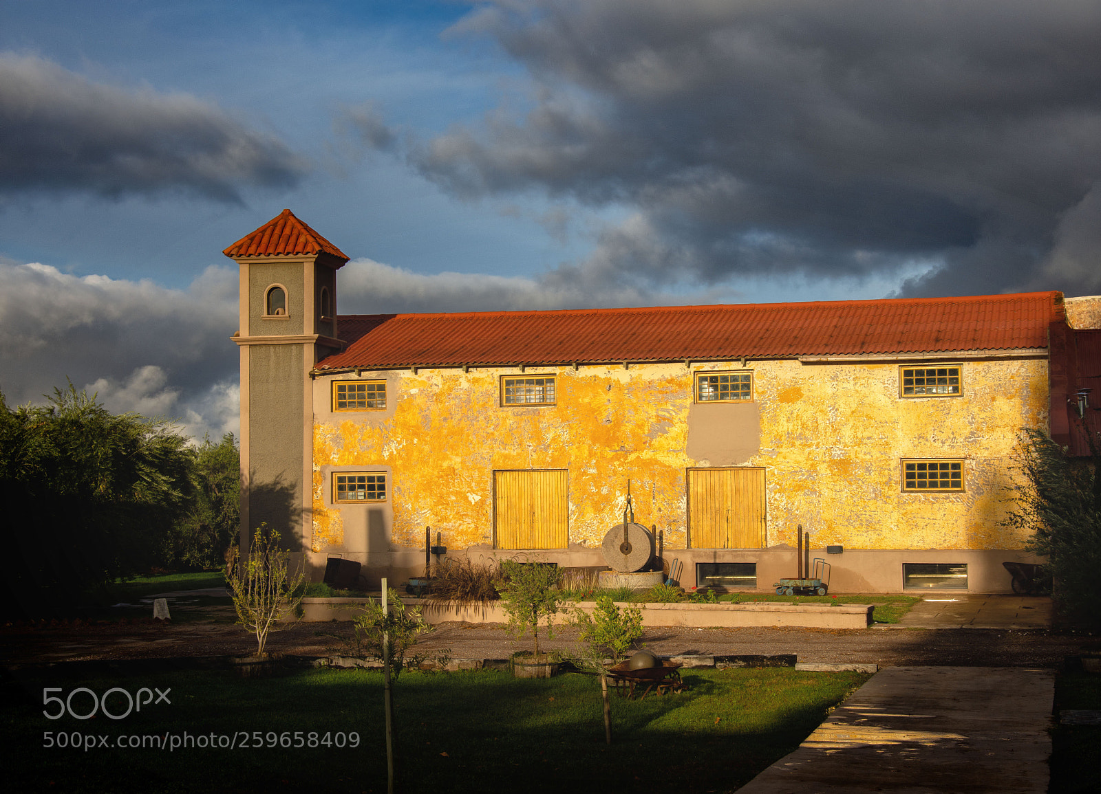 Nikon D7200 sample photo. Mendoza photography