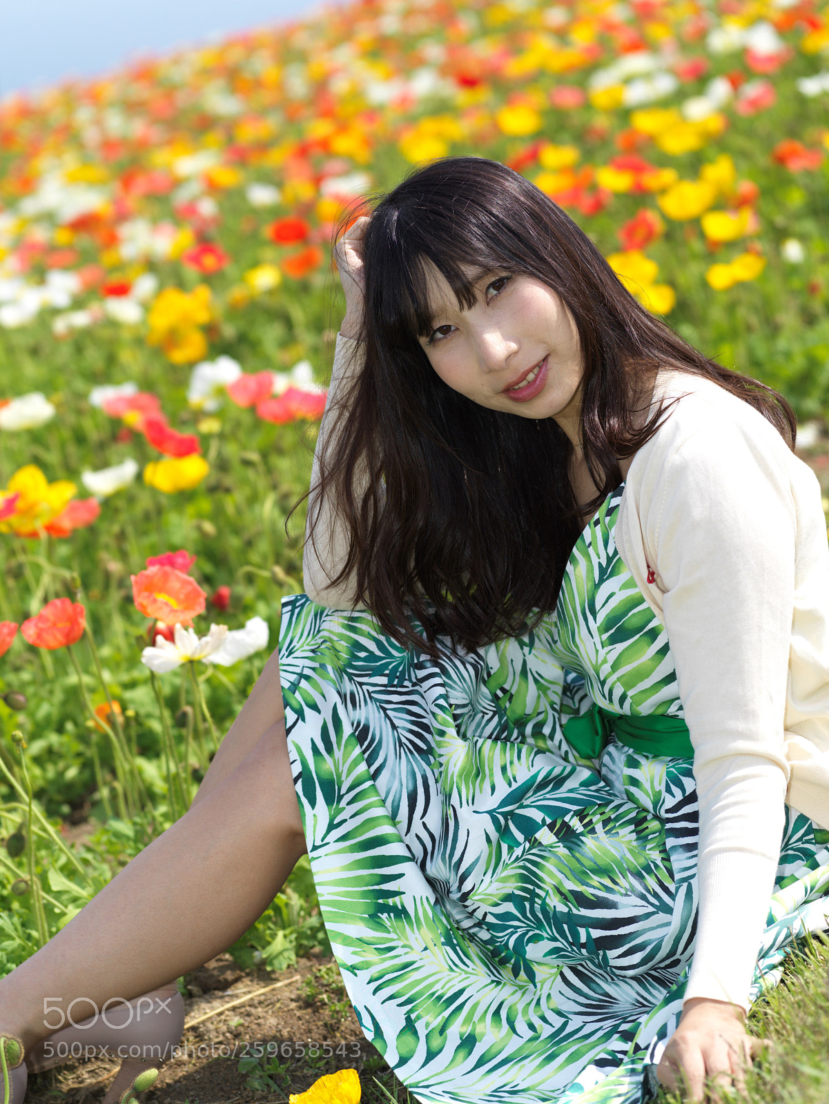 Hasselblad X1D-50c sample photo. Flower garden in awajishima photography