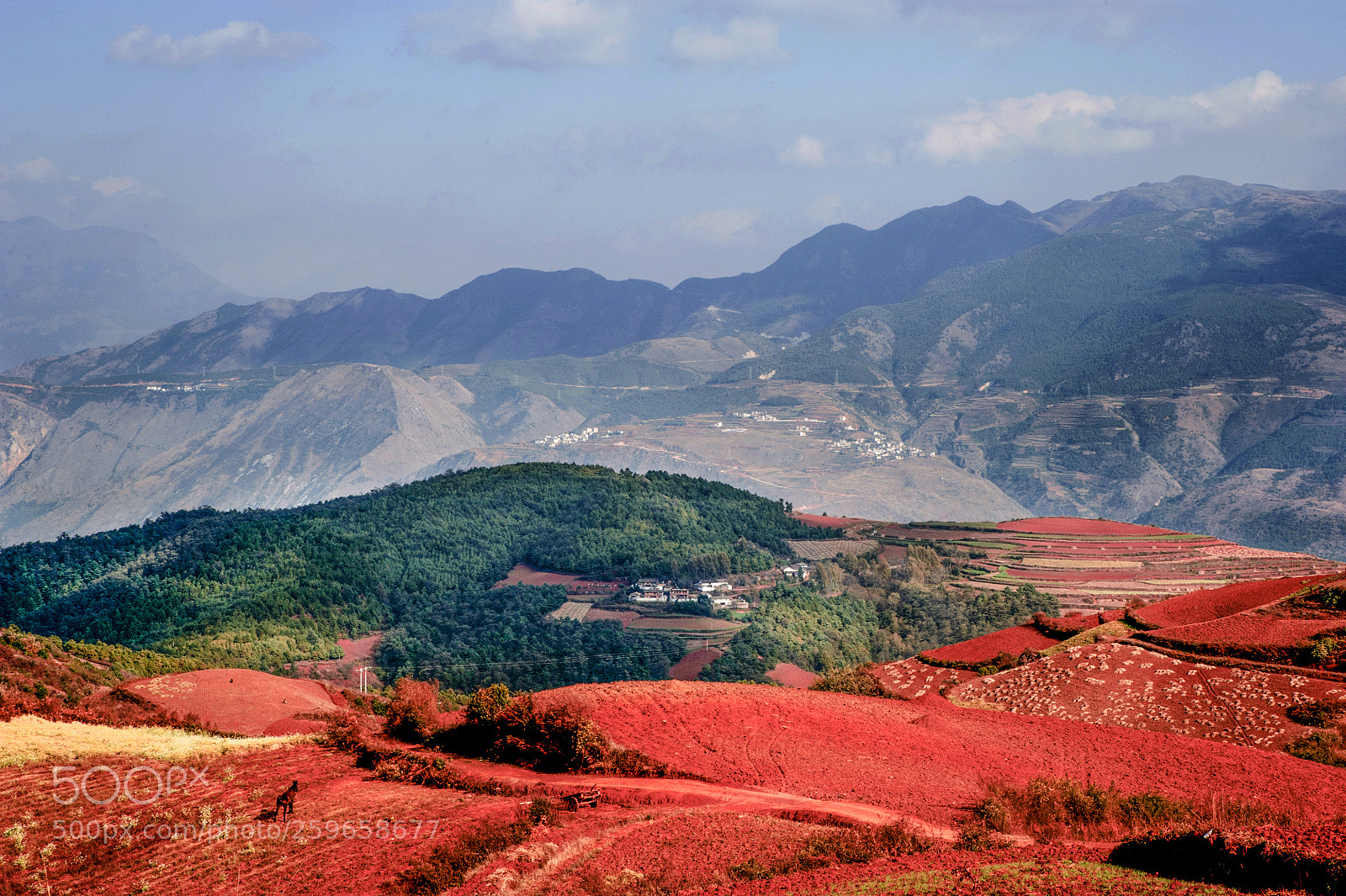 Nikon D700 sample photo. 红色 photography