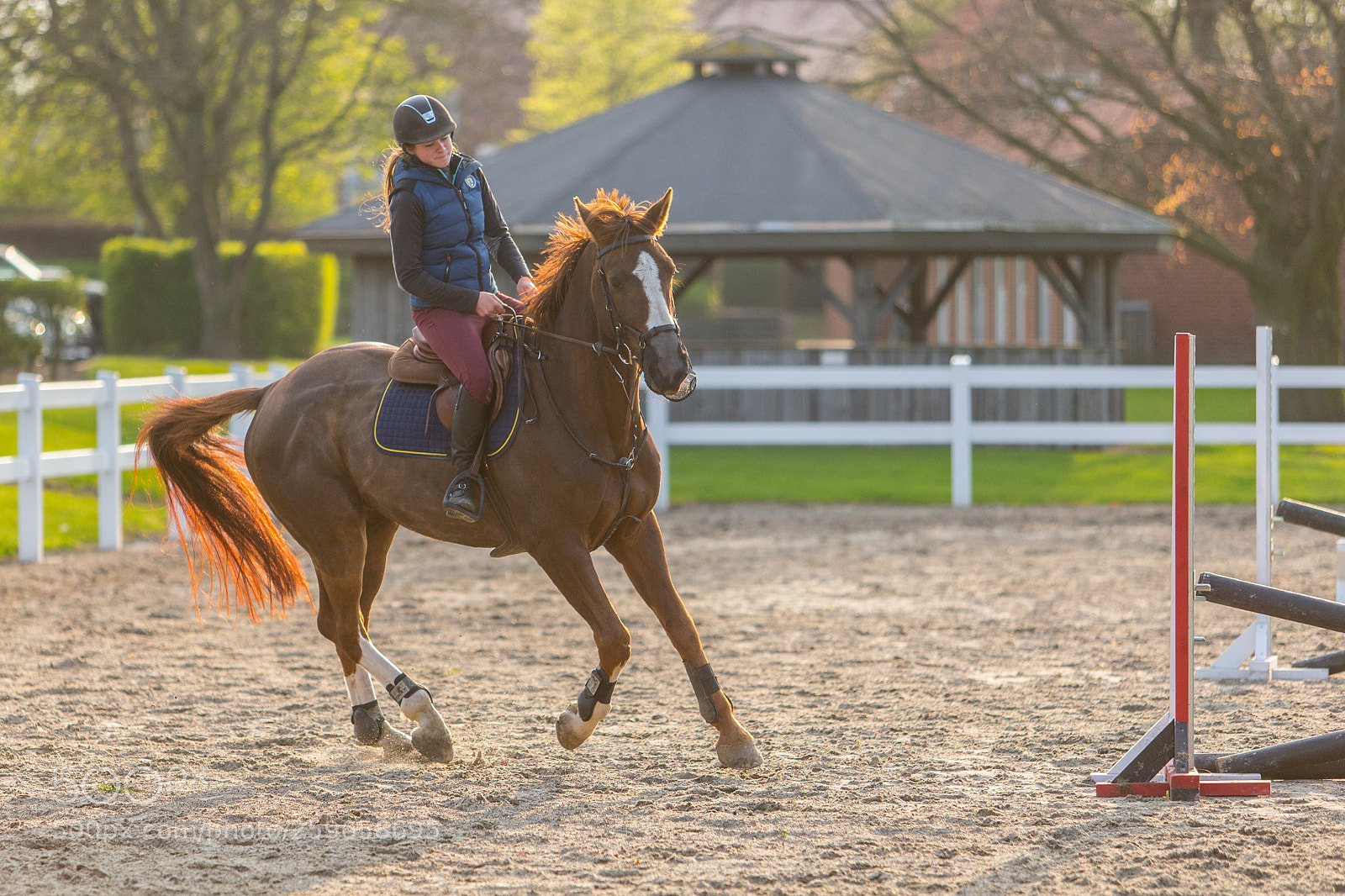 Canon EOS-1D X sample photo. Horse jumping photography