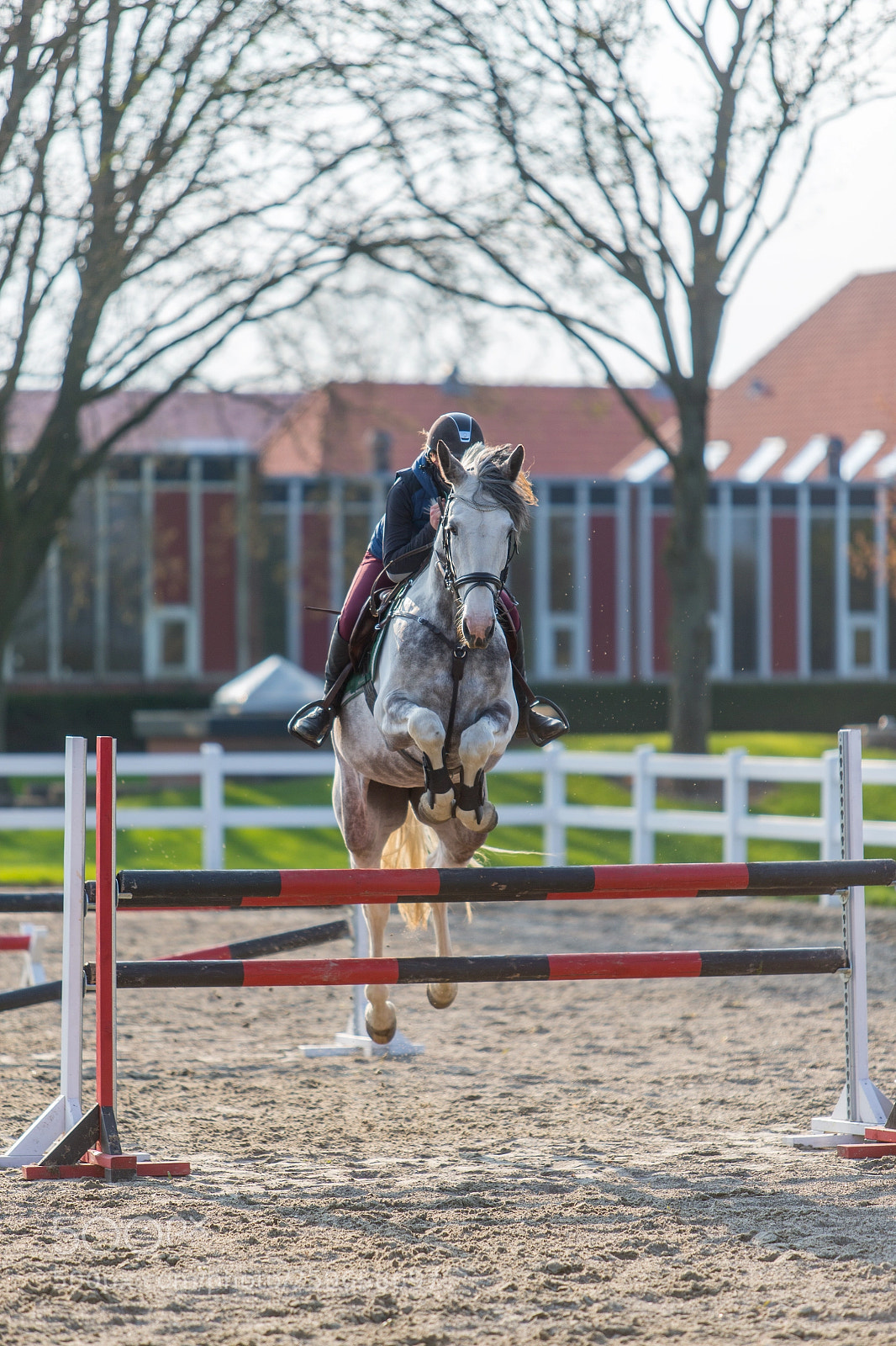 Canon EOS-1D X sample photo. Horse jumping photography