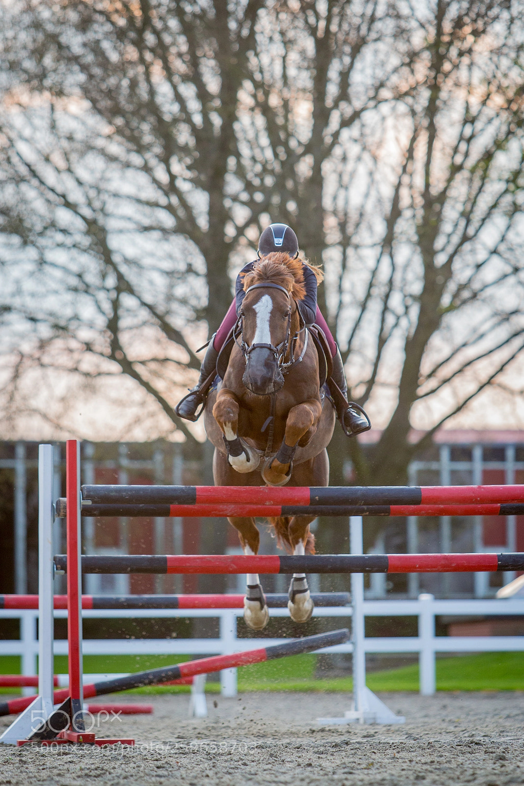 Canon EOS-1D X sample photo. Horse jumping photography