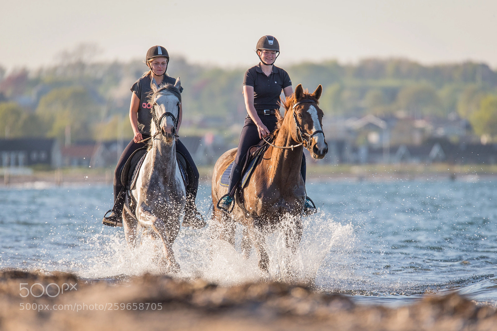 Canon EOS-1D X sample photo. Horseback riding by the photography