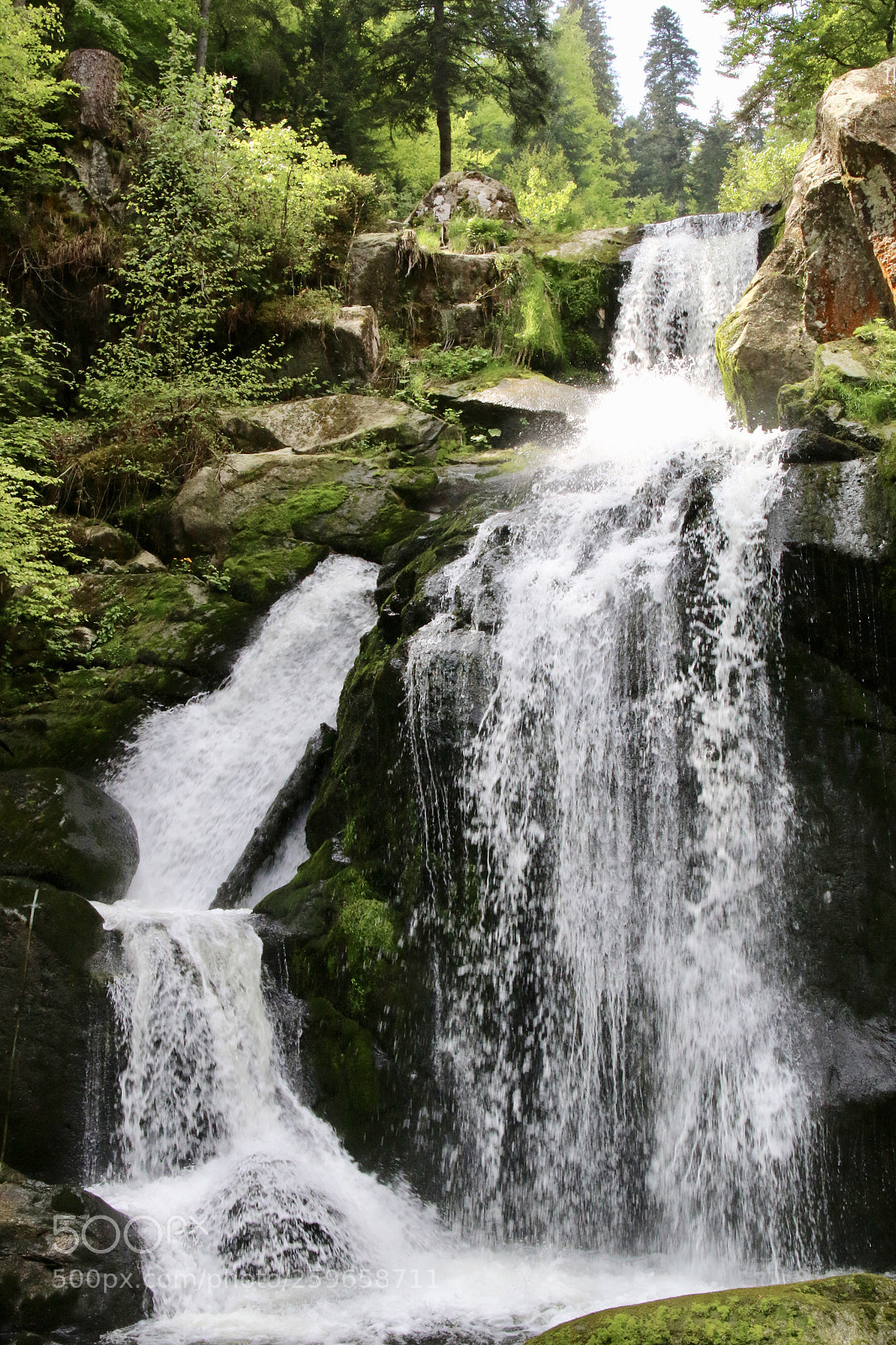 Canon EOS 70D sample photo. Untitled photography