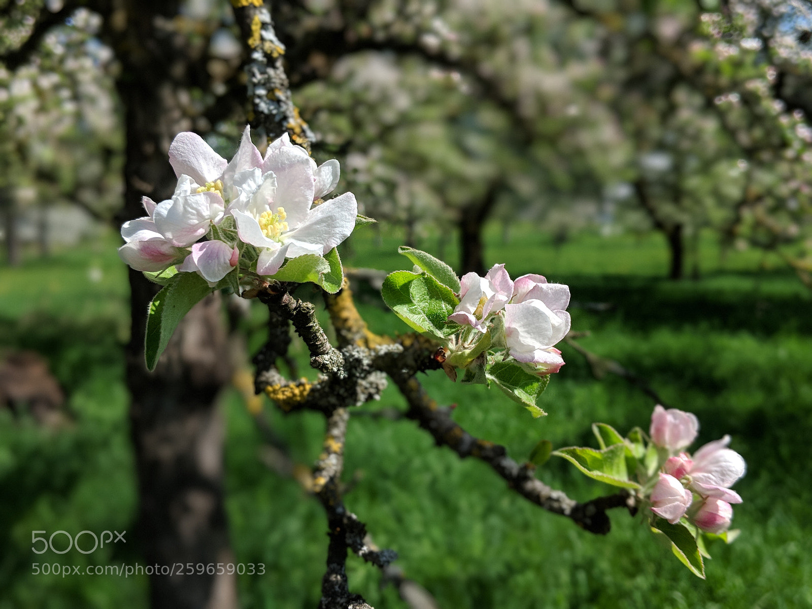 Google Pixel 2 sample photo. Untitled photography
