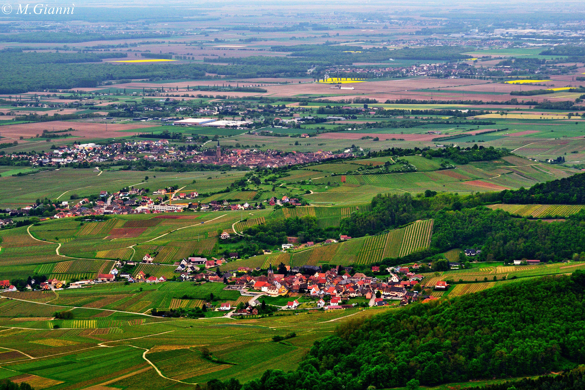 Nikon D3100 sample photo. La plaine d'alsace photography