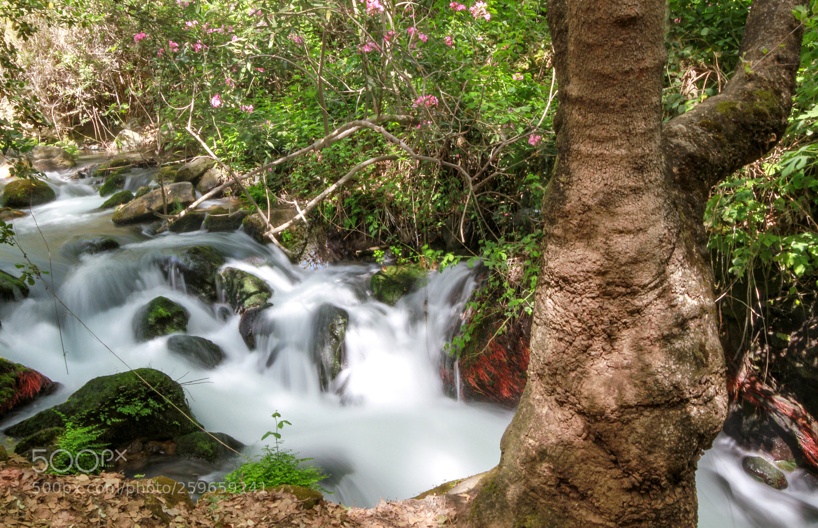 Canon EOS 7D sample photo. Washing river photography