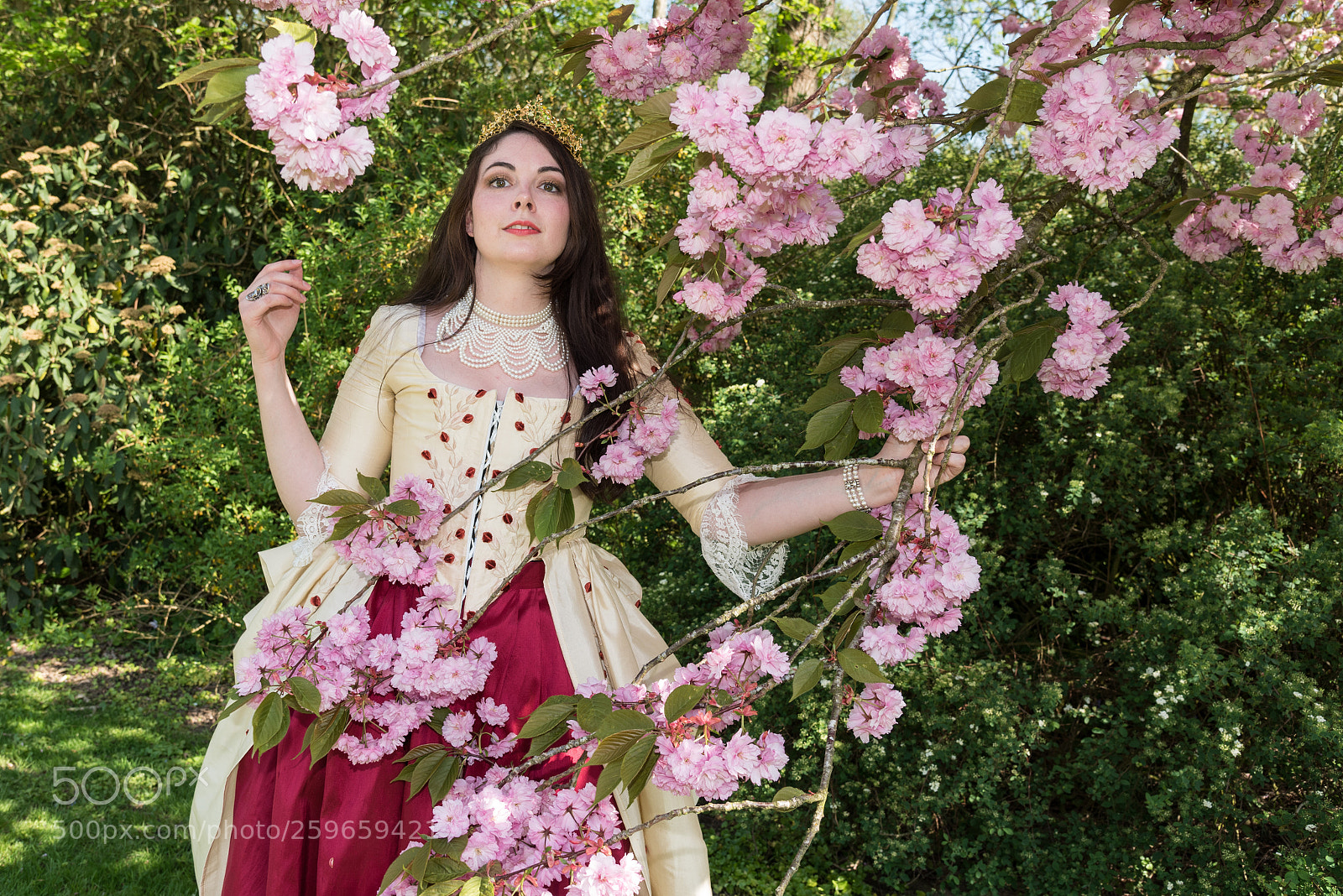 Nikon D750 sample photo. Diane 03 photography