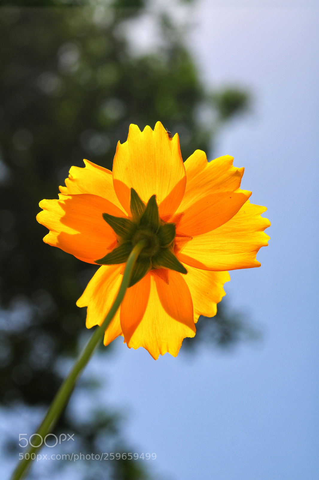 Canon EOS 750D (EOS Rebel T6i / EOS Kiss X8i) sample photo. Untitled photography