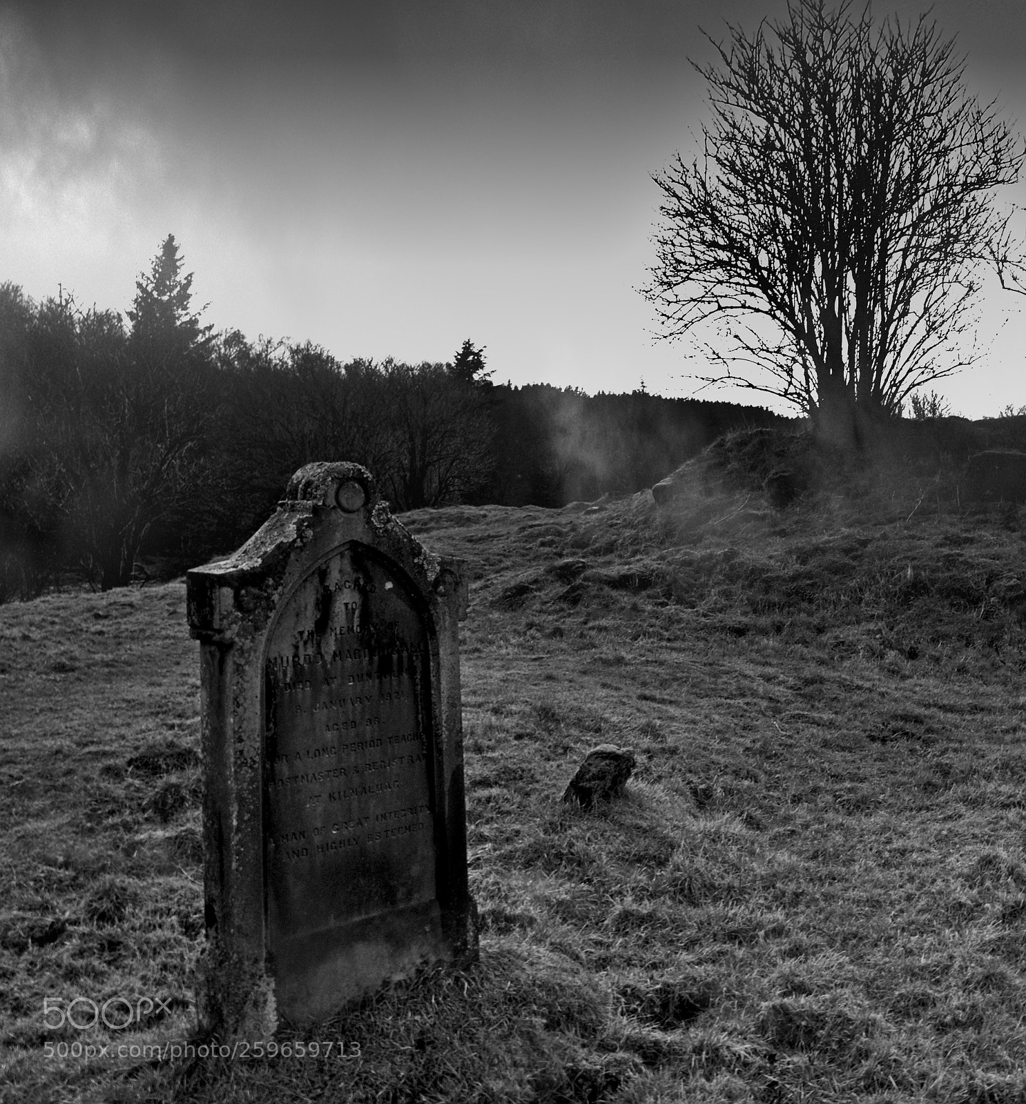 Nikon D3100 sample photo. Lone resting place photography