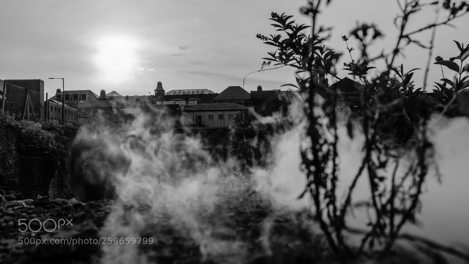 Fujifilm X100F sample photo. Untitled photography