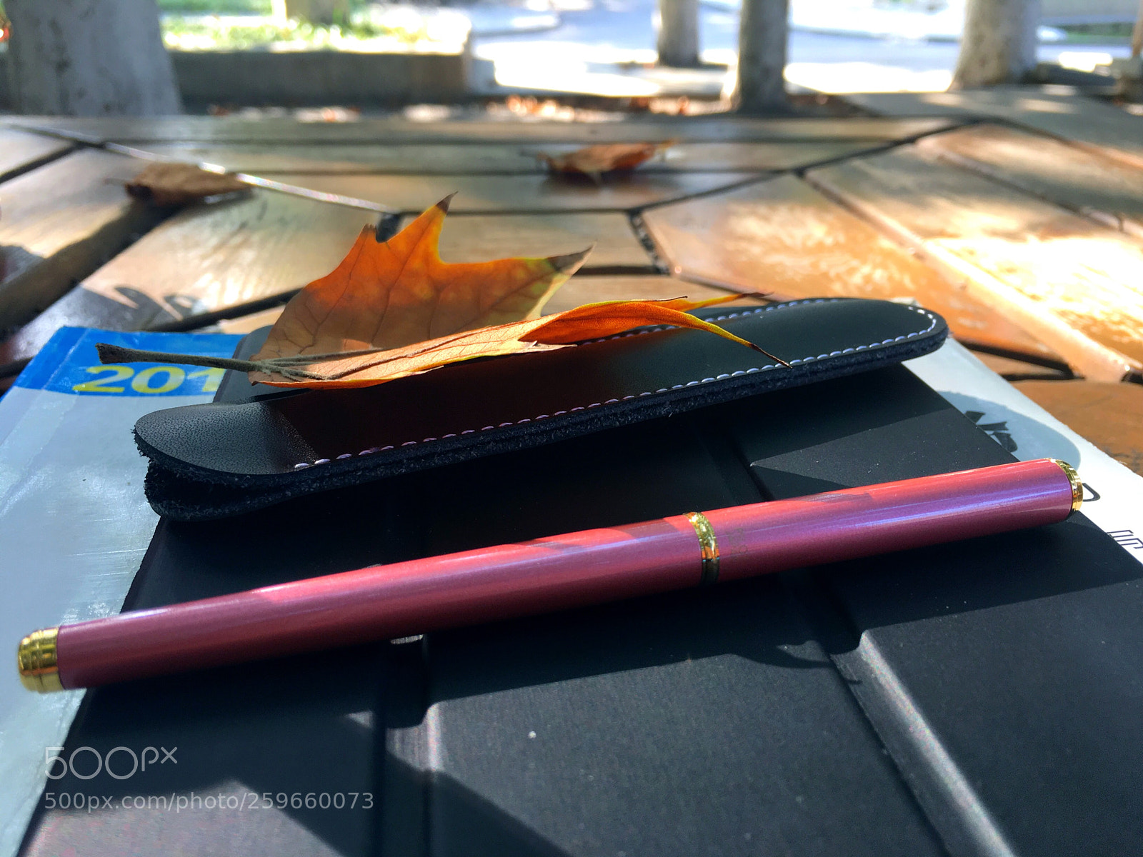 Apple iPhone 6s Plus sample photo. Untitled photography
