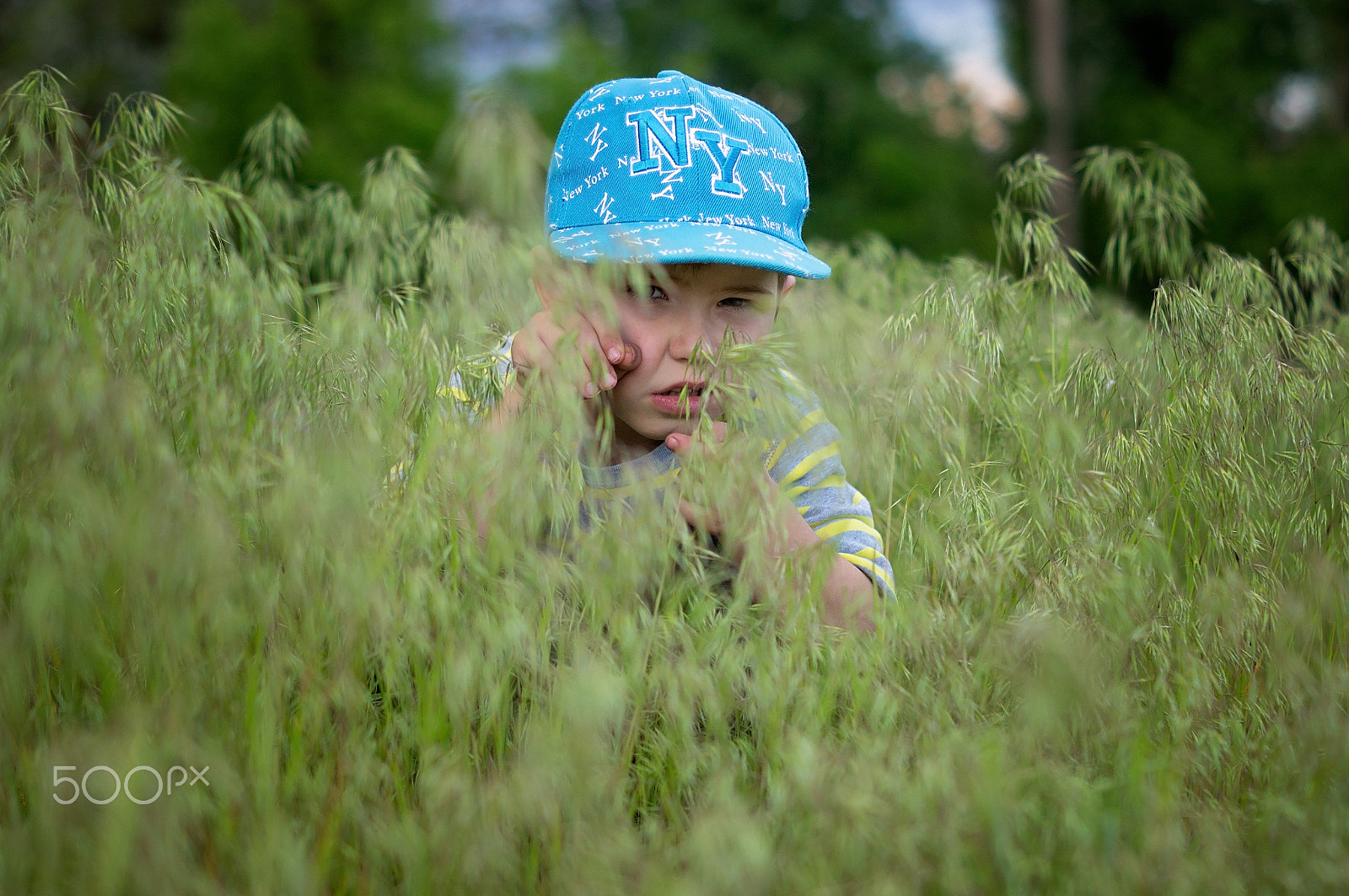 Sony SLT-A35 sample photo. In the grass photography