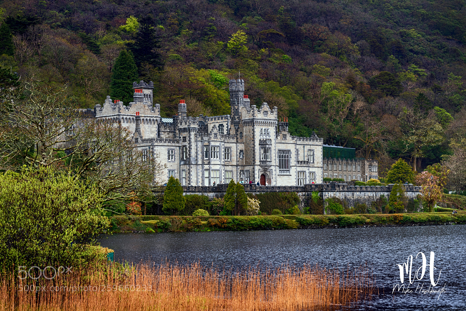 Nikon D750 sample photo. Kylemore abbey schloß photography