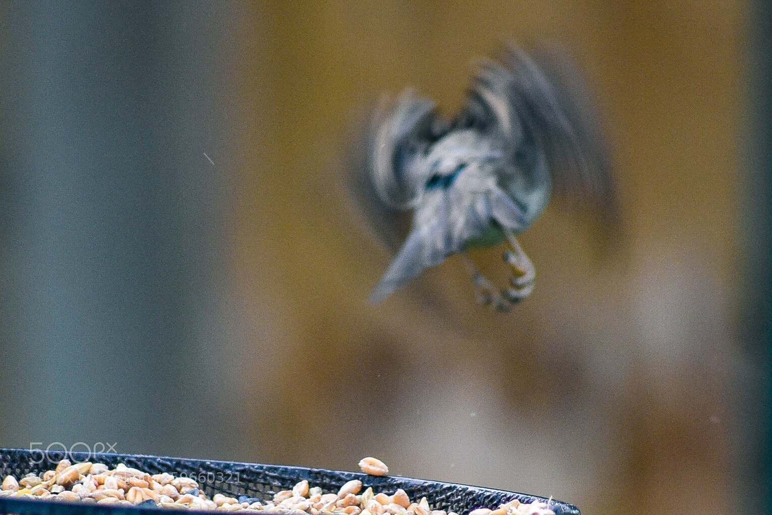 Nikon D7200 sample photo. Lift off photography