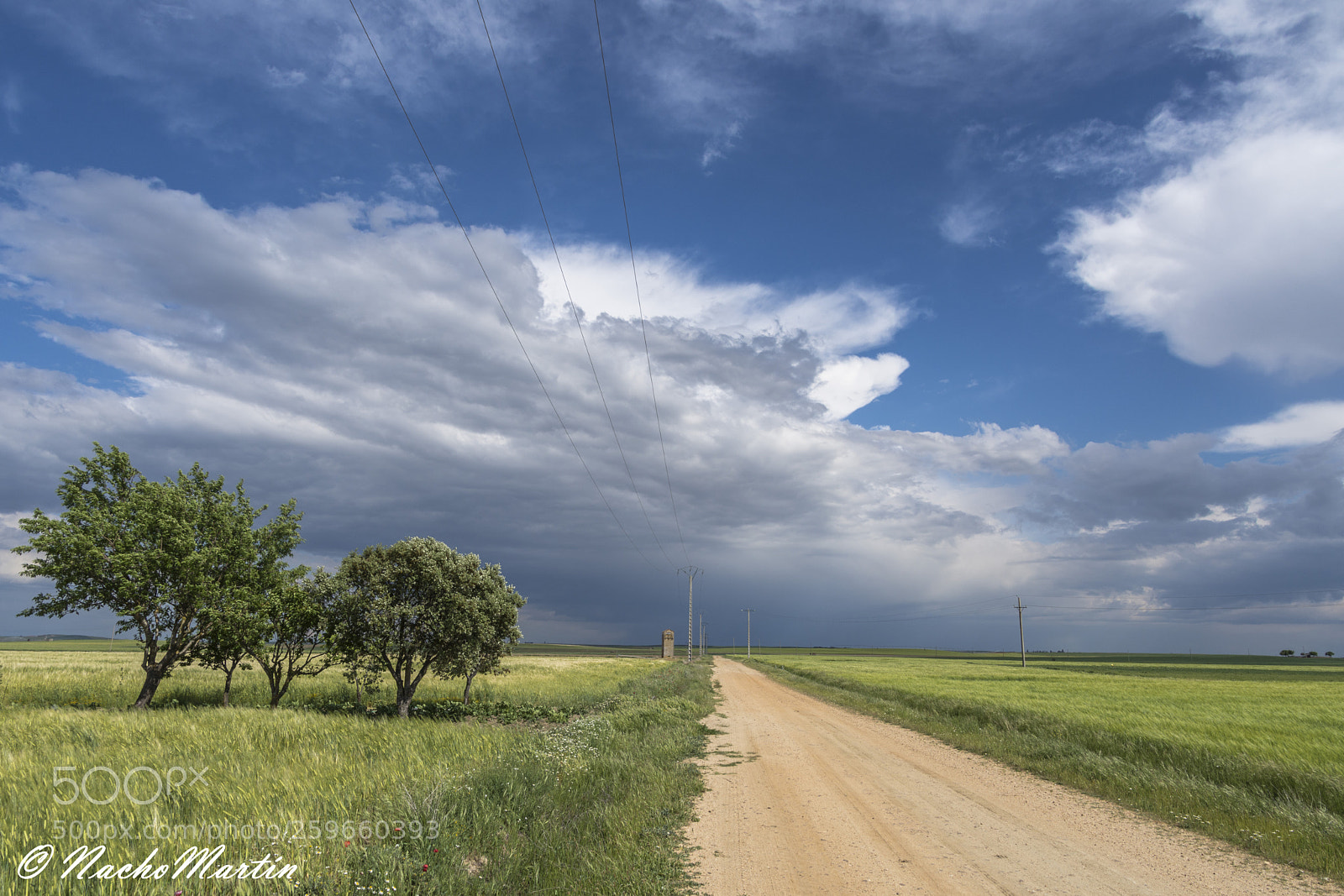 Nikon D7200 sample photo. Sigue el camino photography