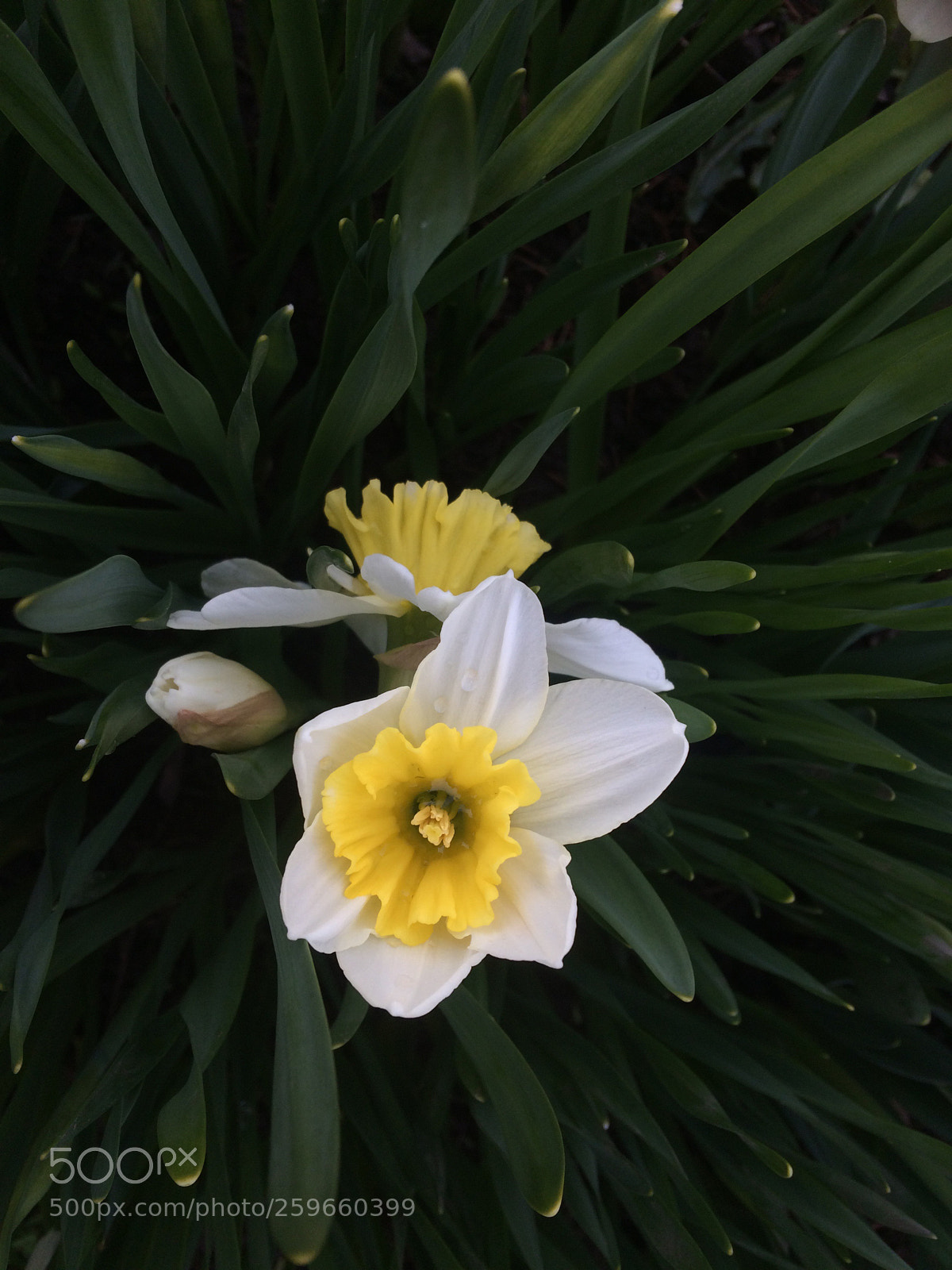 Apple iPhone 5s sample photo. Untitled photography