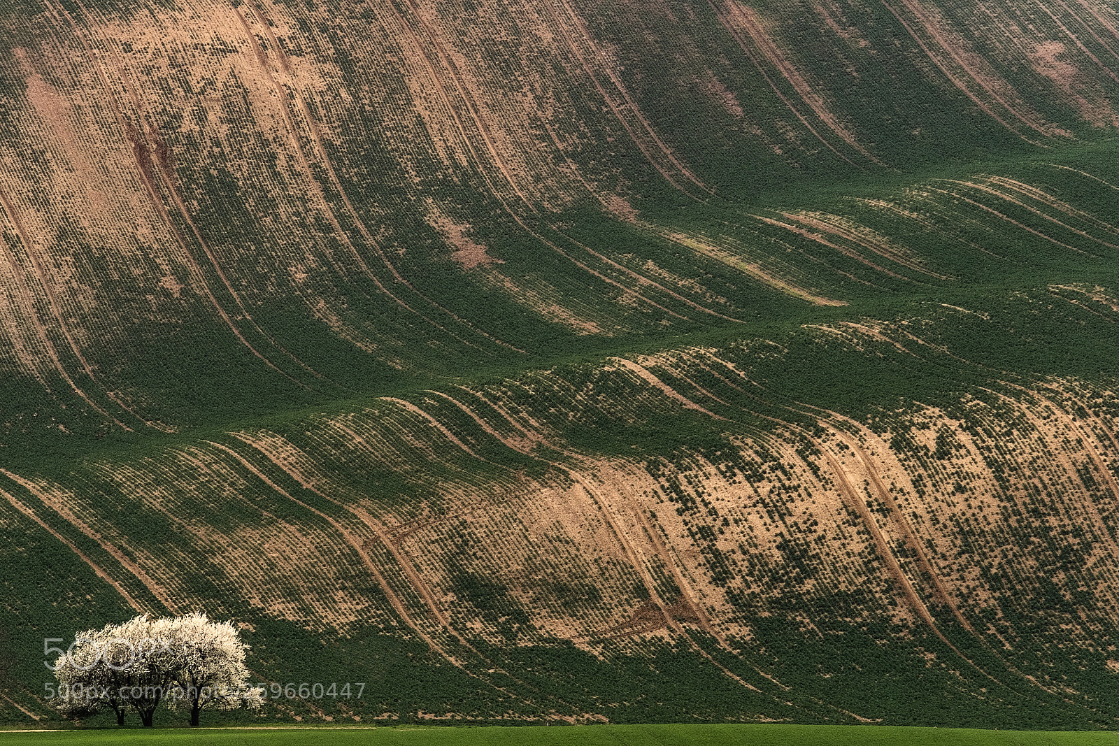 Fujifilm X-Pro2 sample photo. South moravia_4 photography
